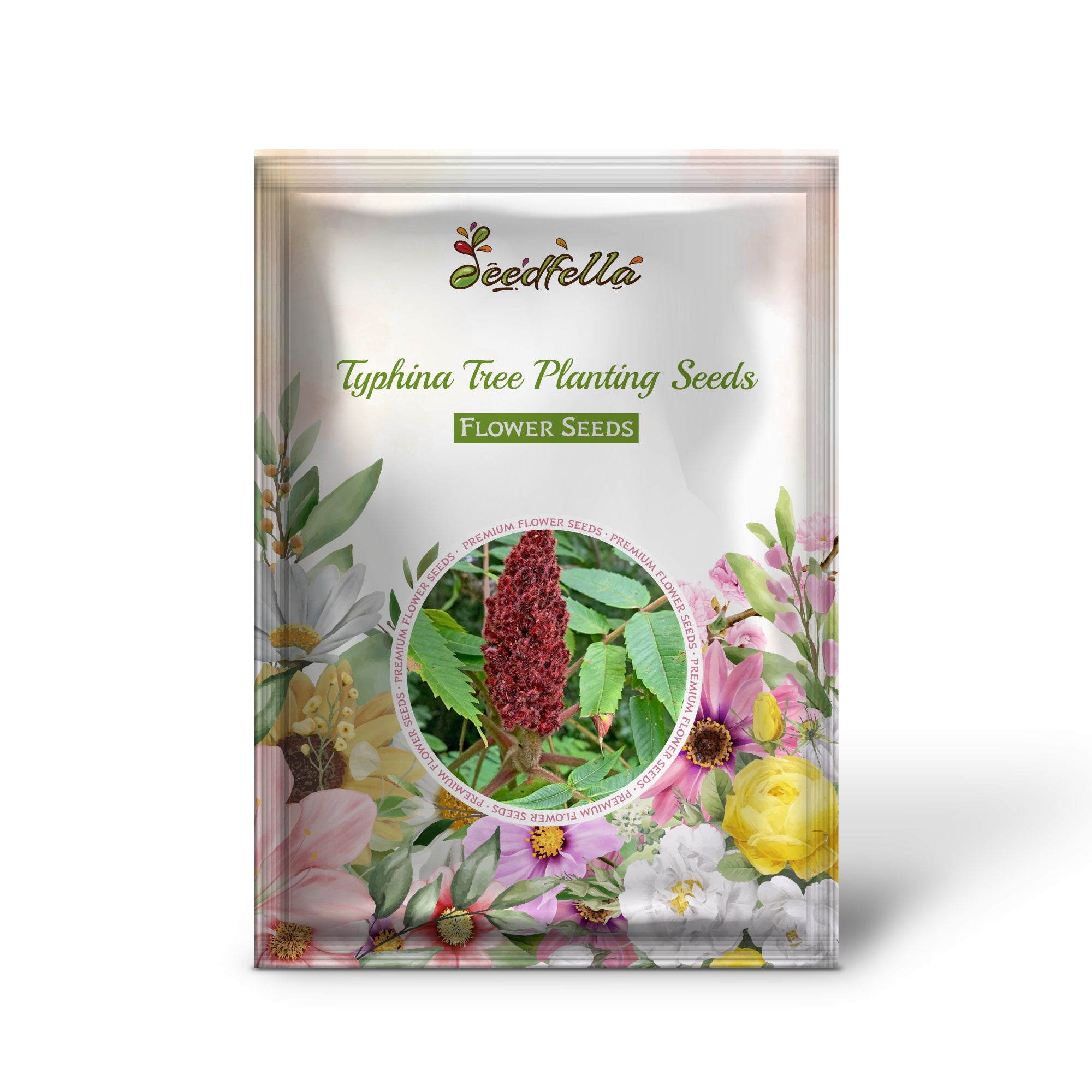 Rhus Typhina Ornamental Tree with Green Foliage