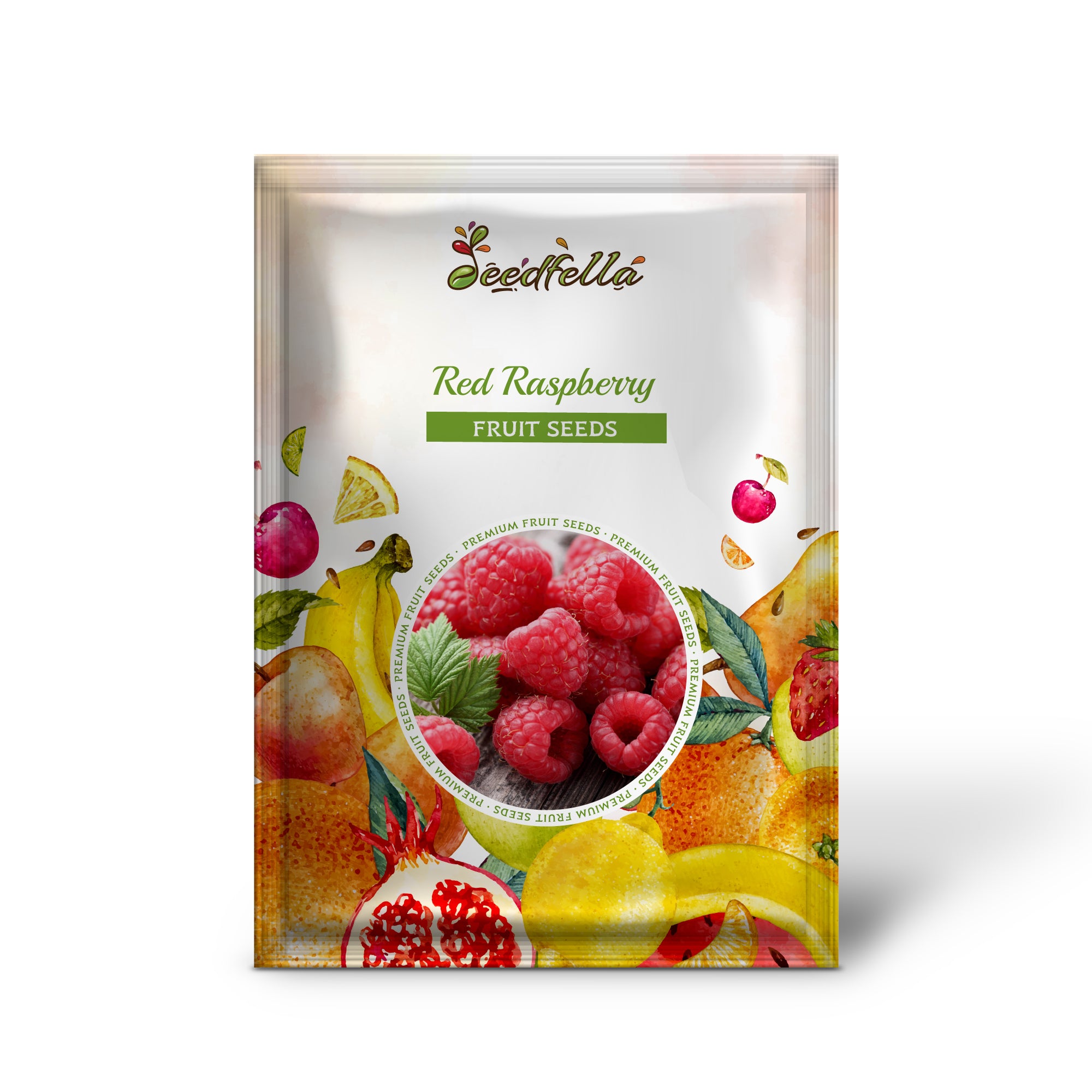 Ripe red raspberries on vine in garden