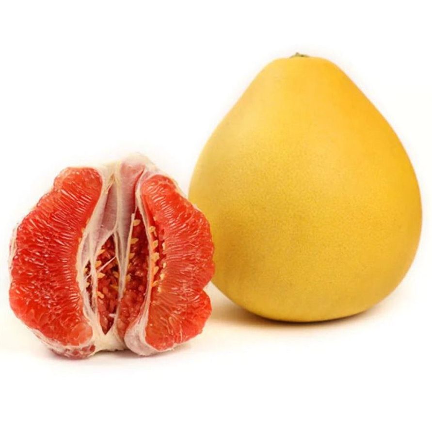 Ripe red and yellow pomelo fruit ready for harvest