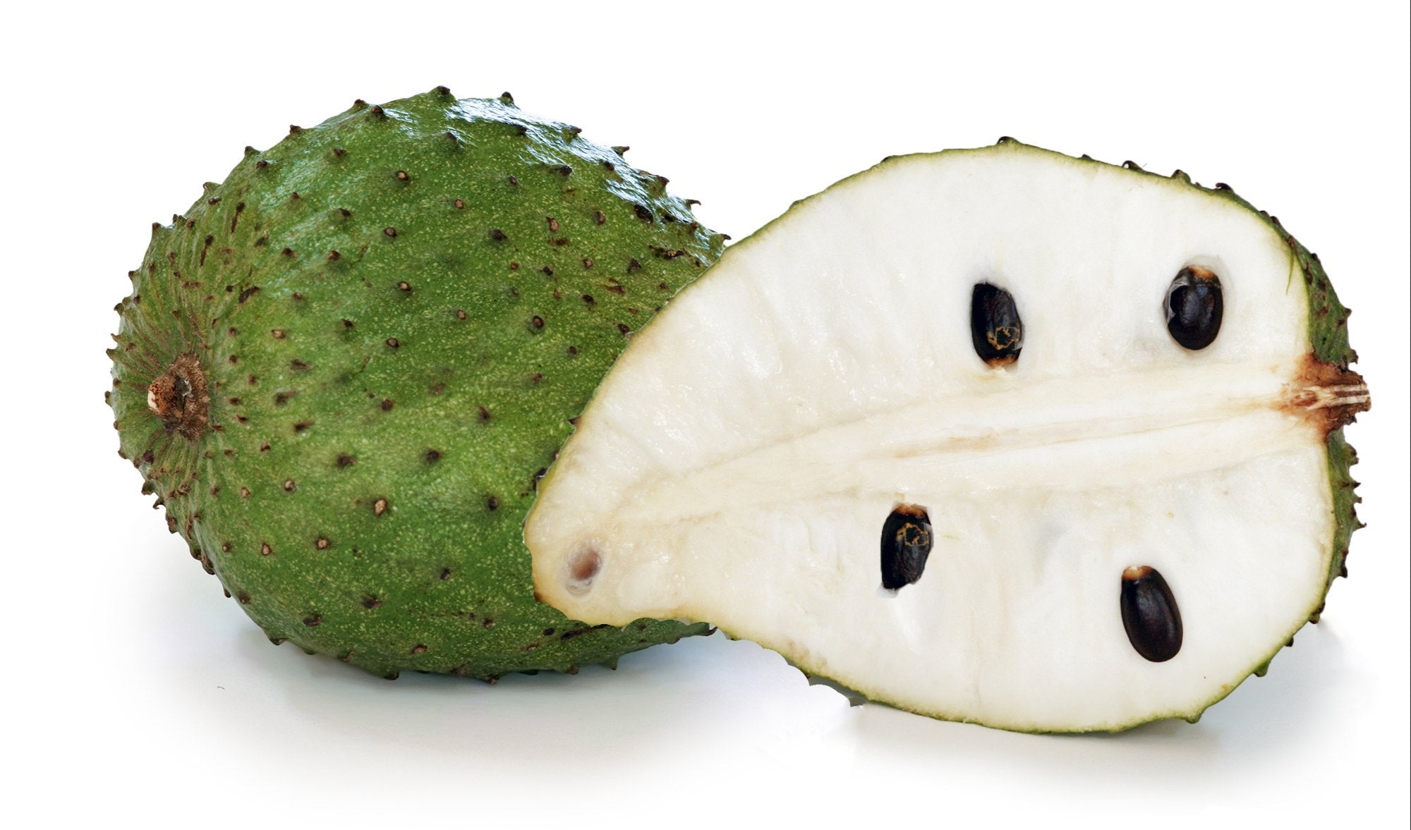 Ripe soursop fruit ready for harvest