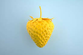 Ripe yellow strawberries grown from non-GMO seeds