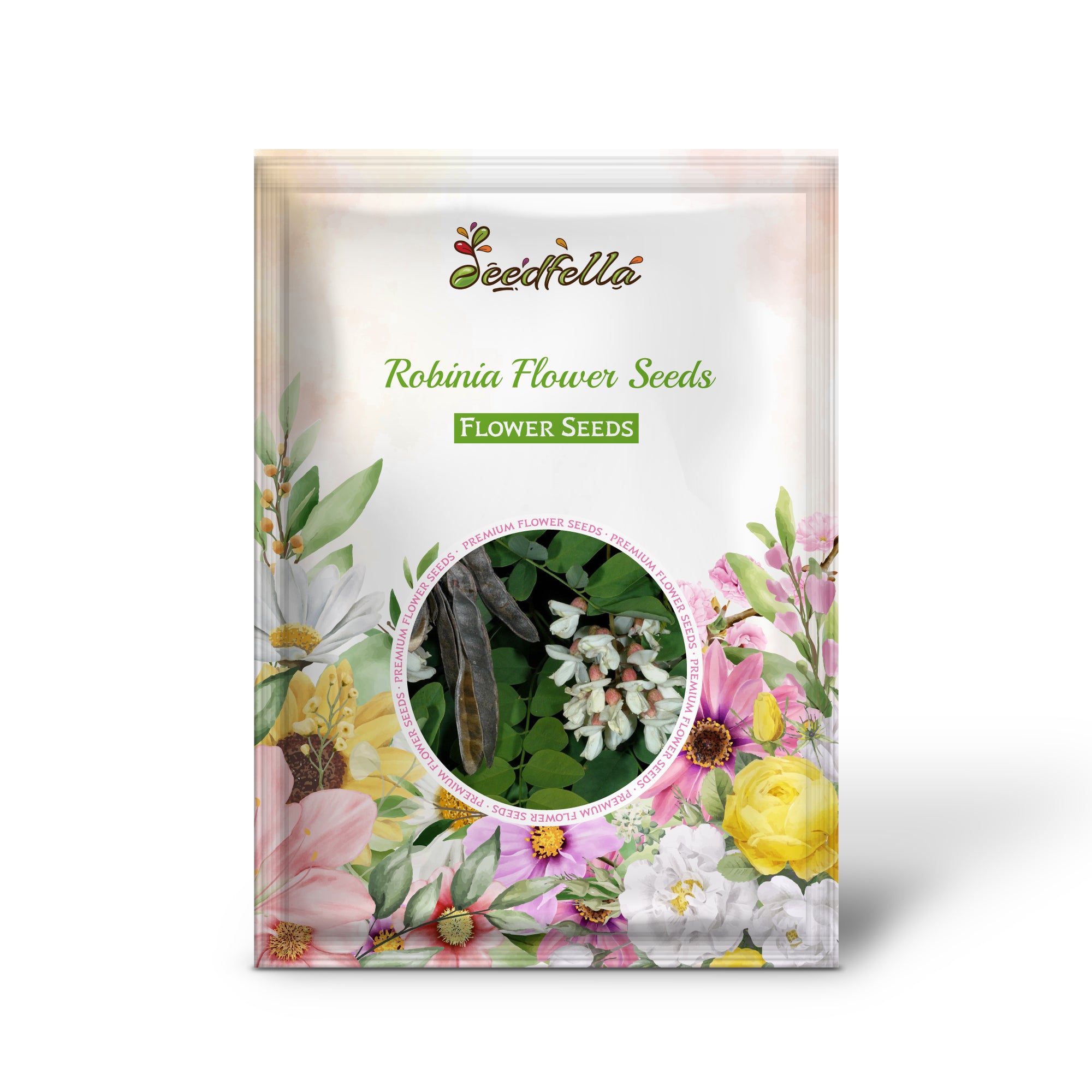 White and pink Robinia flowers in full bloom