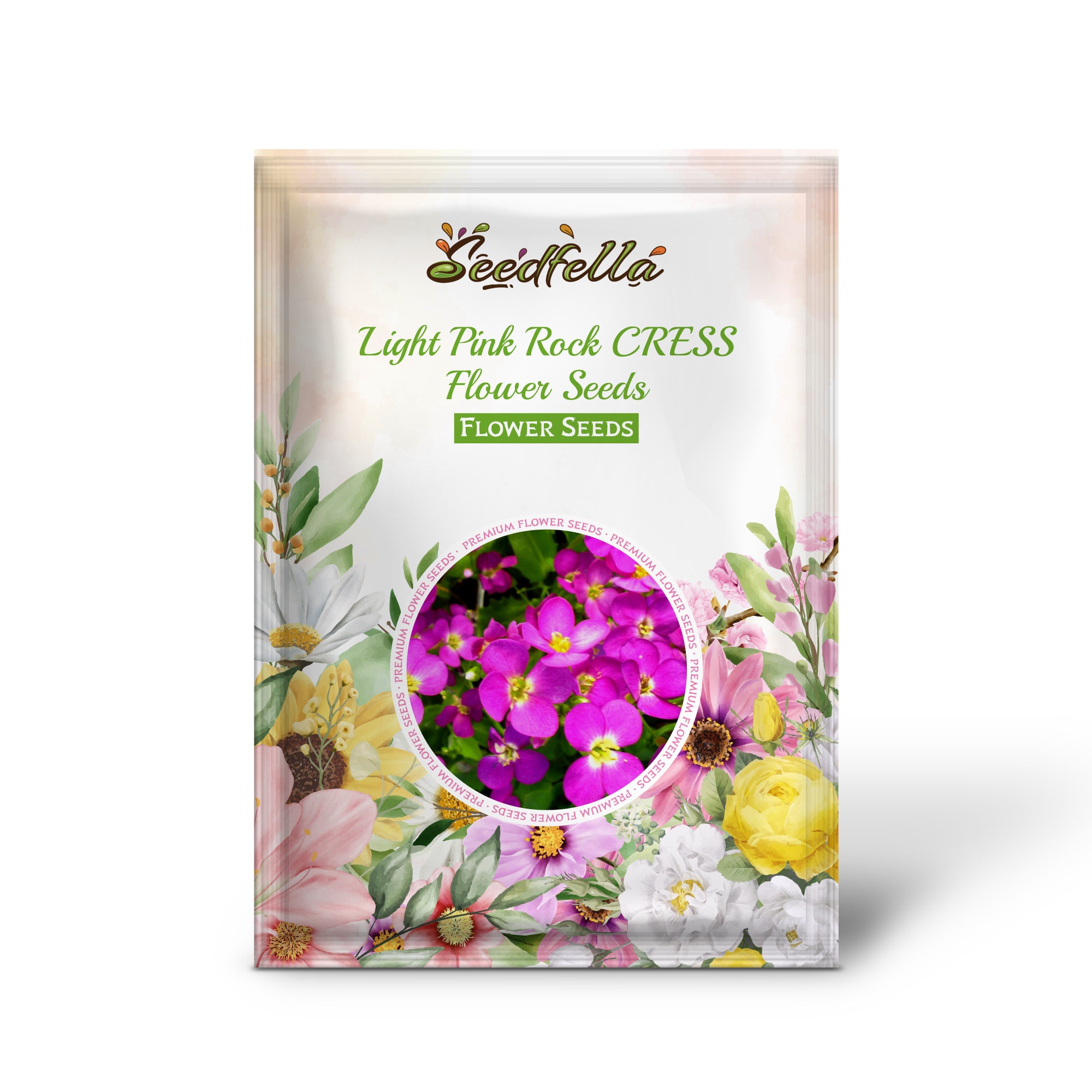 Rock cress seeds germination seedlings