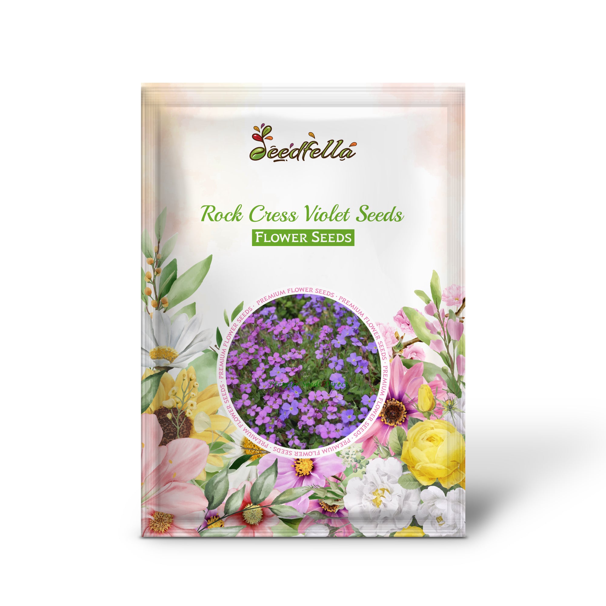 Rock Cress Violet flowers in full bloom