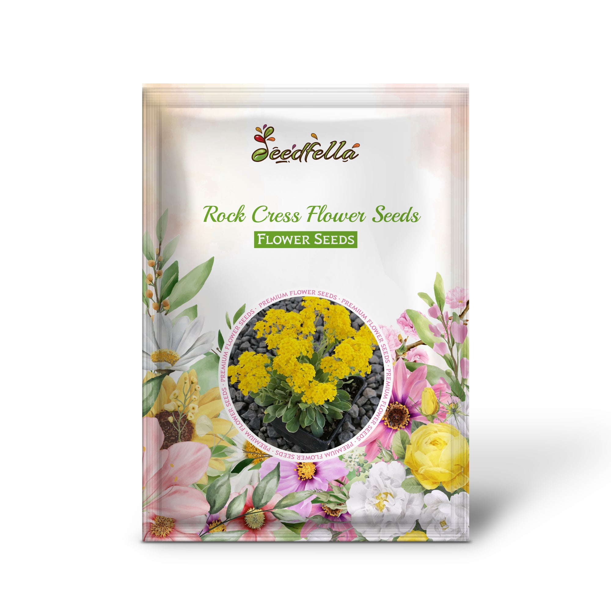 Lemon Yellow Rock Cress Flowers in Garden