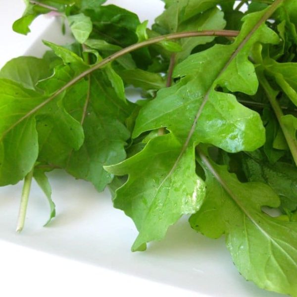Rocket leafy vegetable seeds for containers and gardens