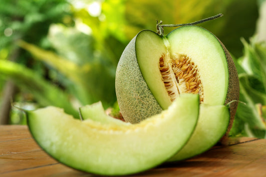 Rocky Ford Cantaloupe (Cucumis melo) seeds for planting