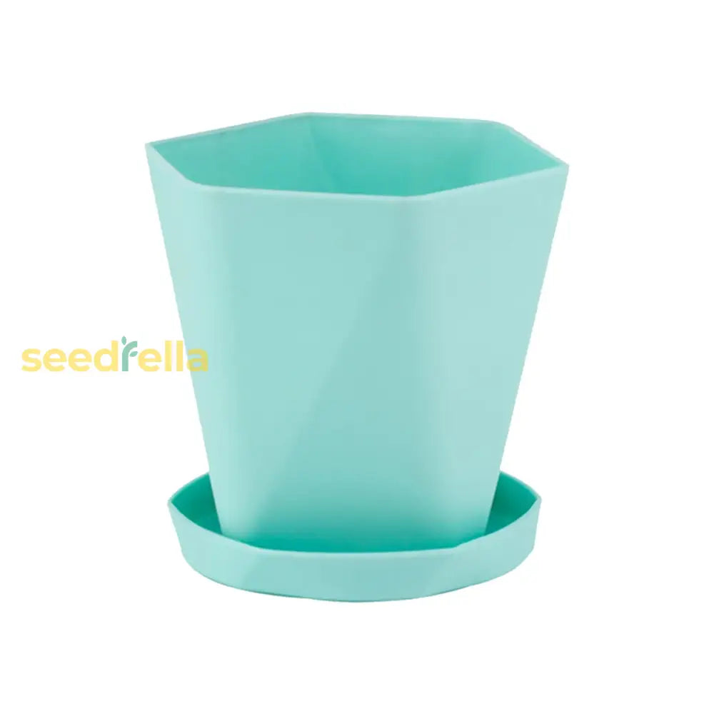 Round Irregular Plastic Bonsai Planter – Large Flower Pot For Plants Blue / Small Garden Tools