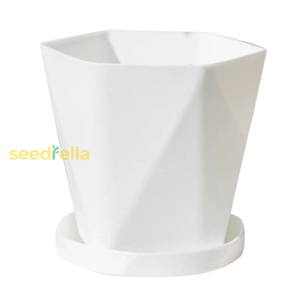 Round Irregular Plastic Bonsai Planter – Large Flower Pot For Plants White / Small Garden Tools