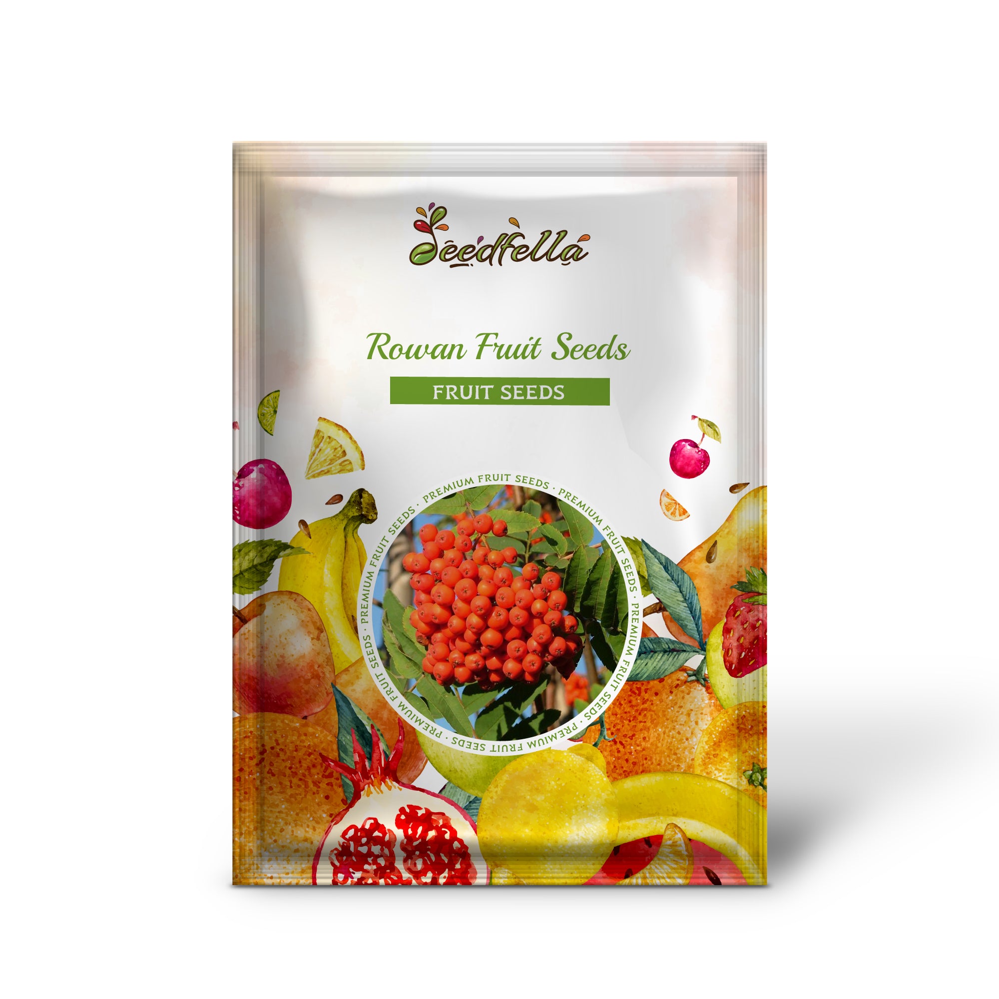 Harvested Rowan Berries from Tree, Fresh and Delicious Red or Orange Berries