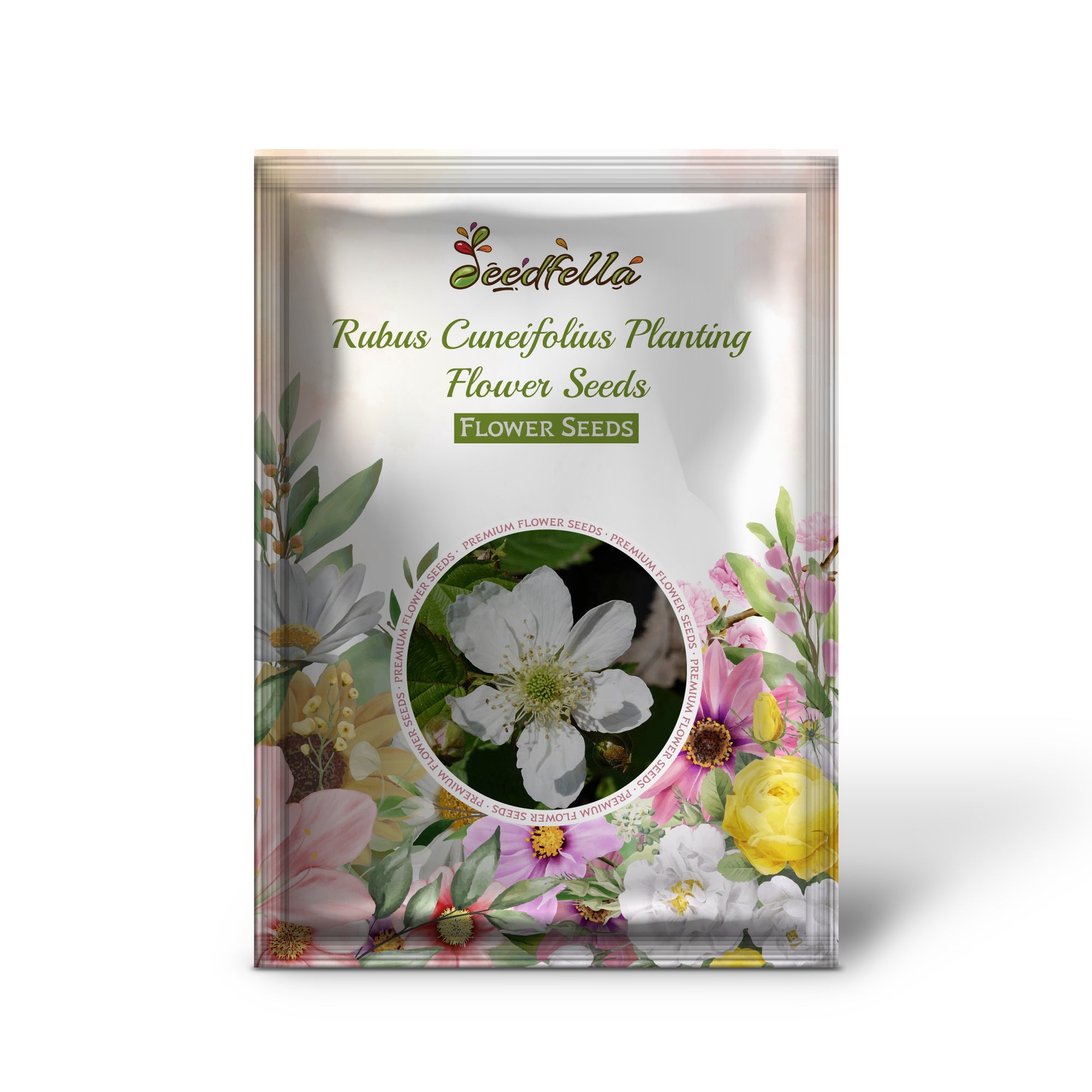 Rubus Cuneifolius Flowering Shrub in Garden