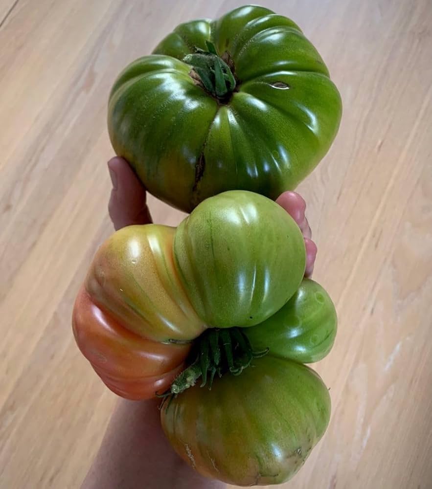 Rubys German Green-Pomodoro tomato seeds for planting
