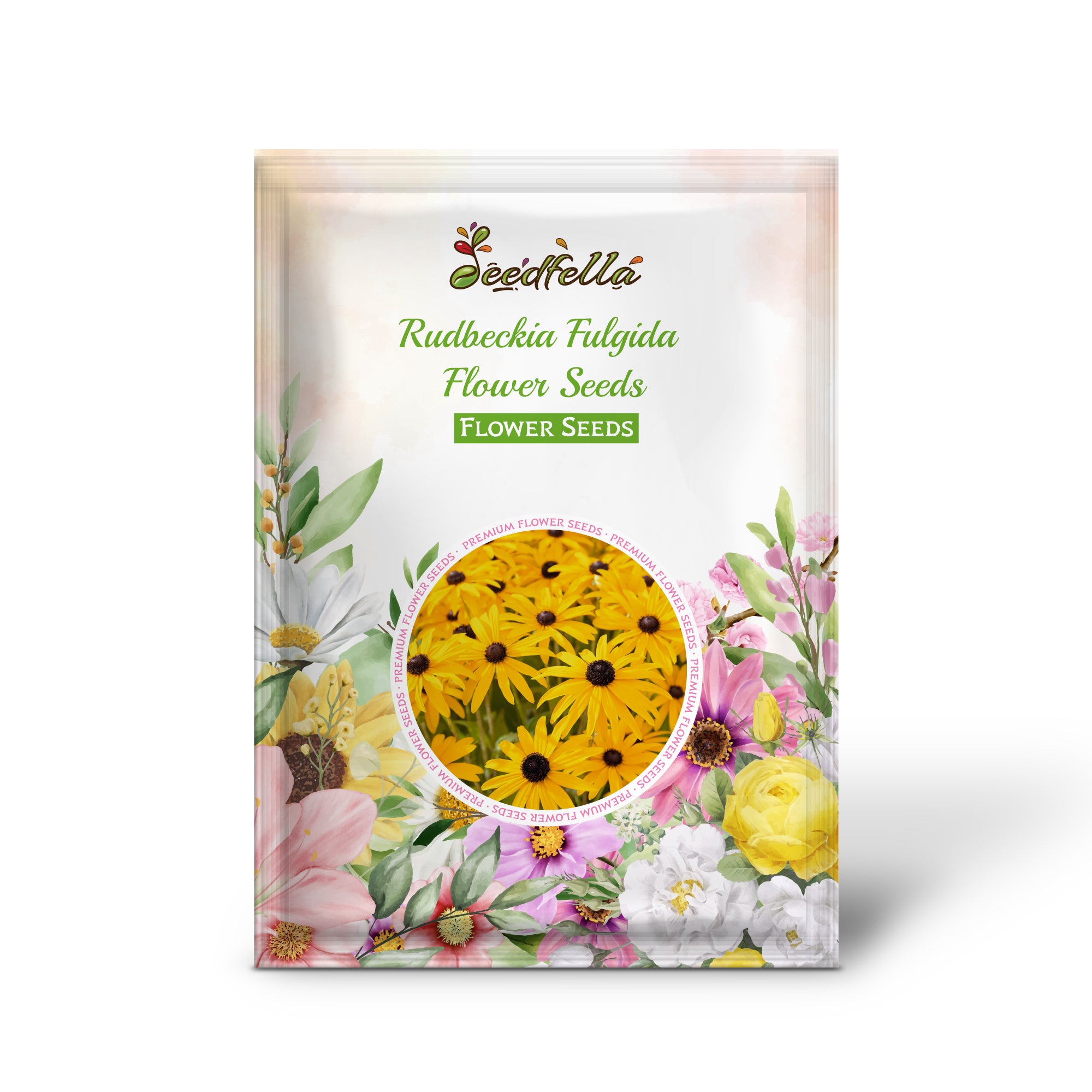 Rudbeckia Fulgida seeds germinating seedlings