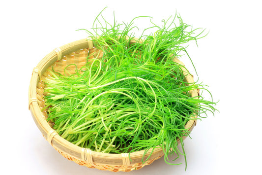 Packet of Saltwort Okahijiki Japanese leaf vegetable seeds