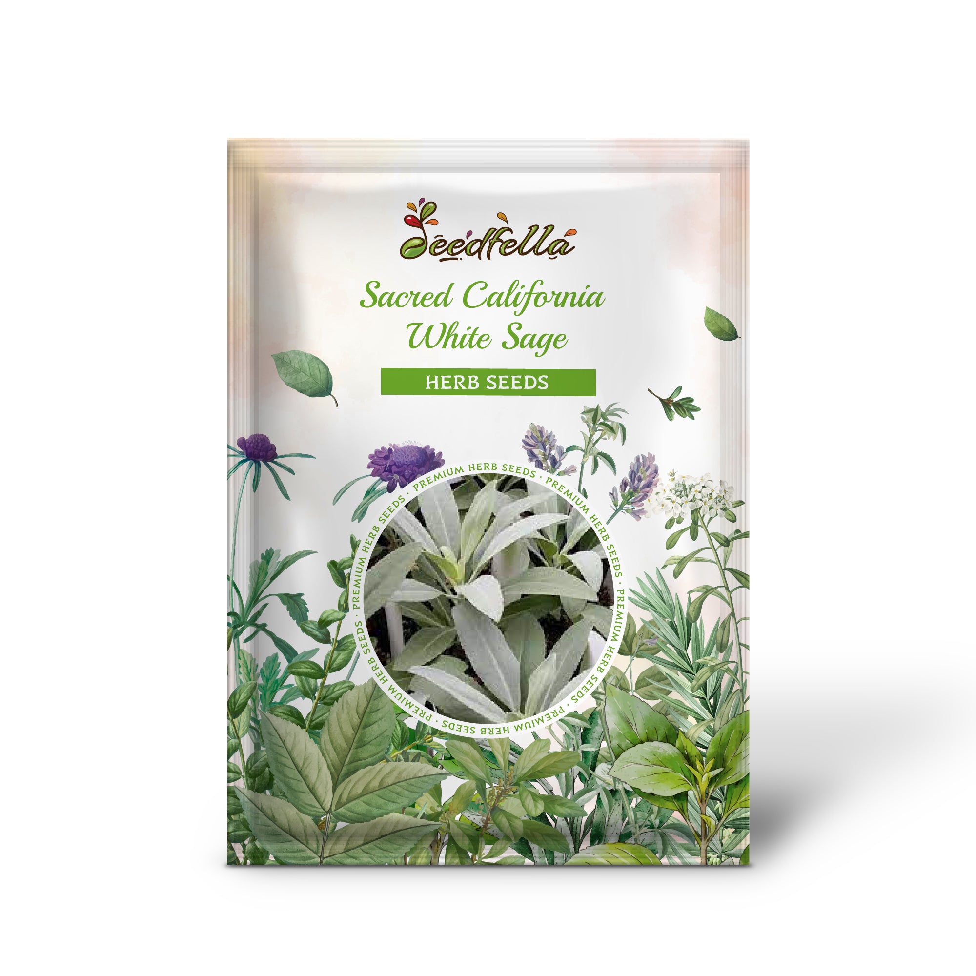 Premium White Sage Seed Pack for Garden and Landscaping
