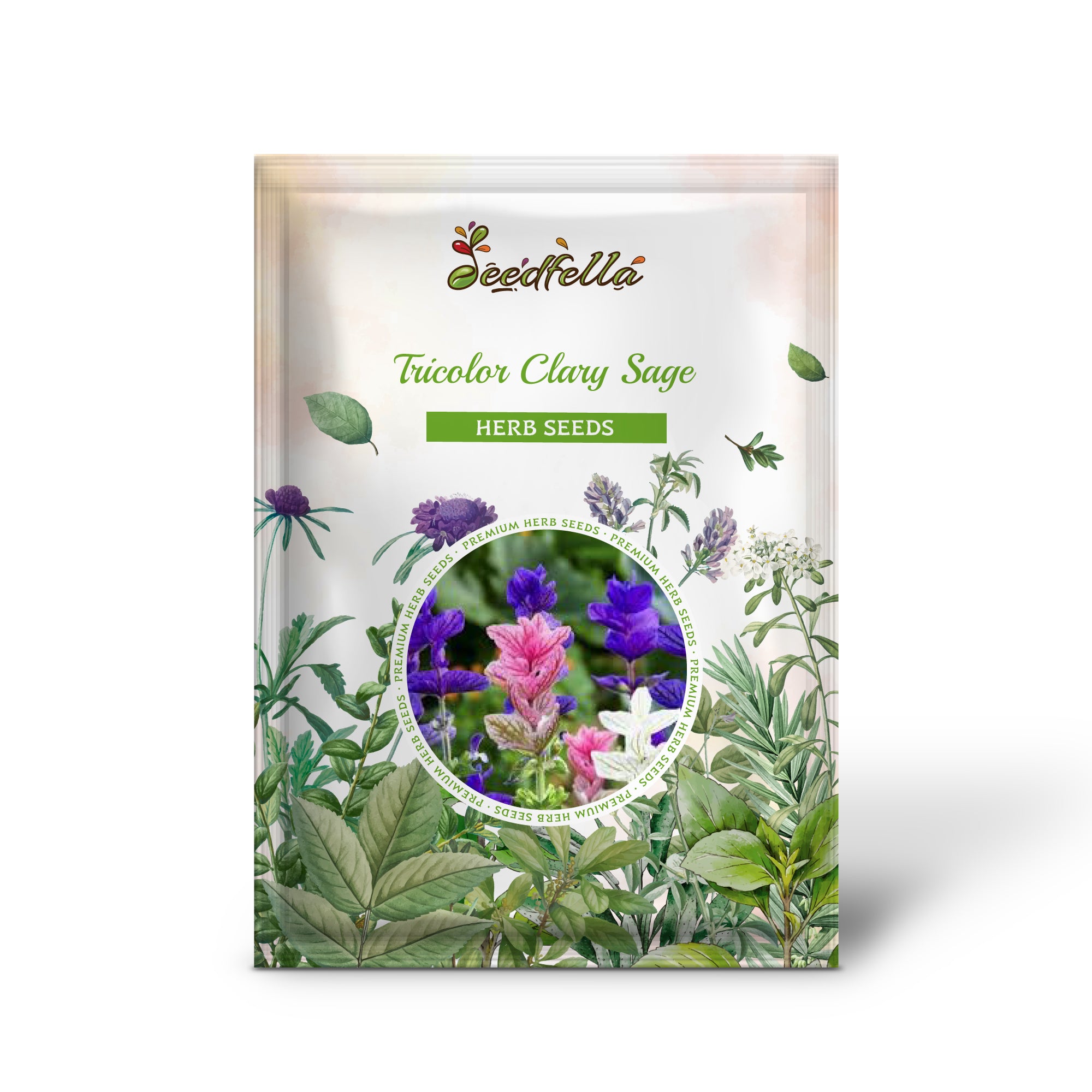 Tricolor Clary Sage Salvia Viridis Horminum Mix Seeds Blue Pink tricolor-clary-sage-salvia-viridis-horminum-mix-seeds-blue-pink