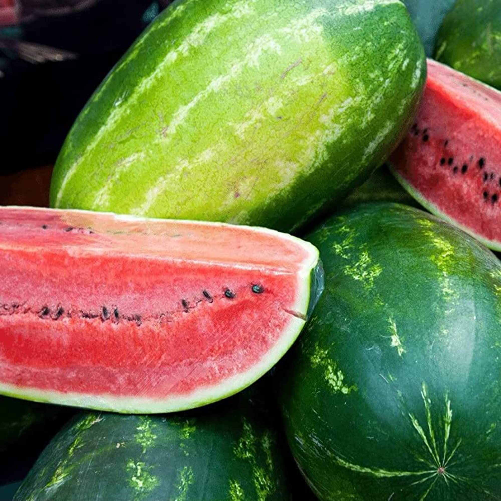 Sangria hybrid watermelon seeds for planting