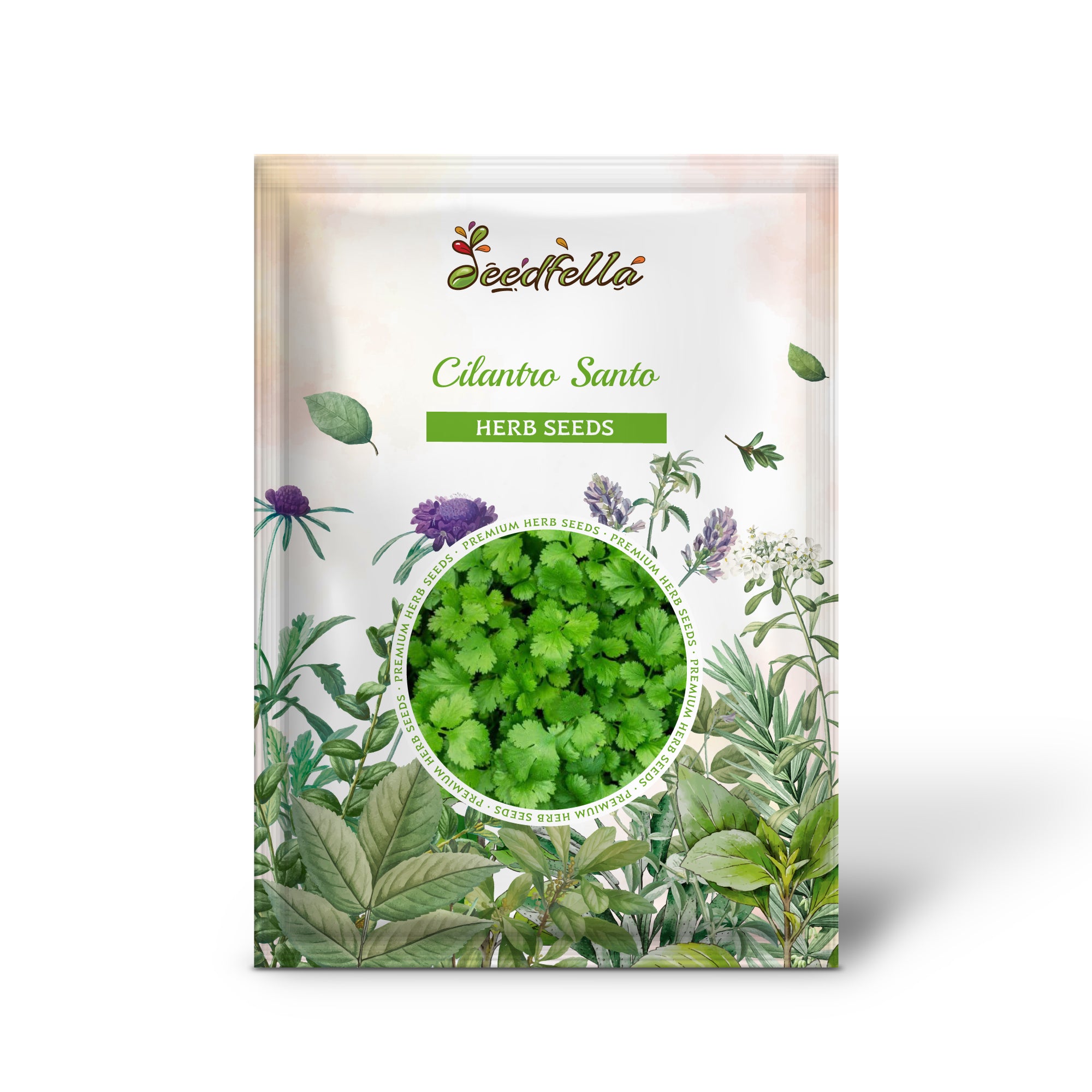 Slow-bolting Santo Cilantro seeds leafy variety