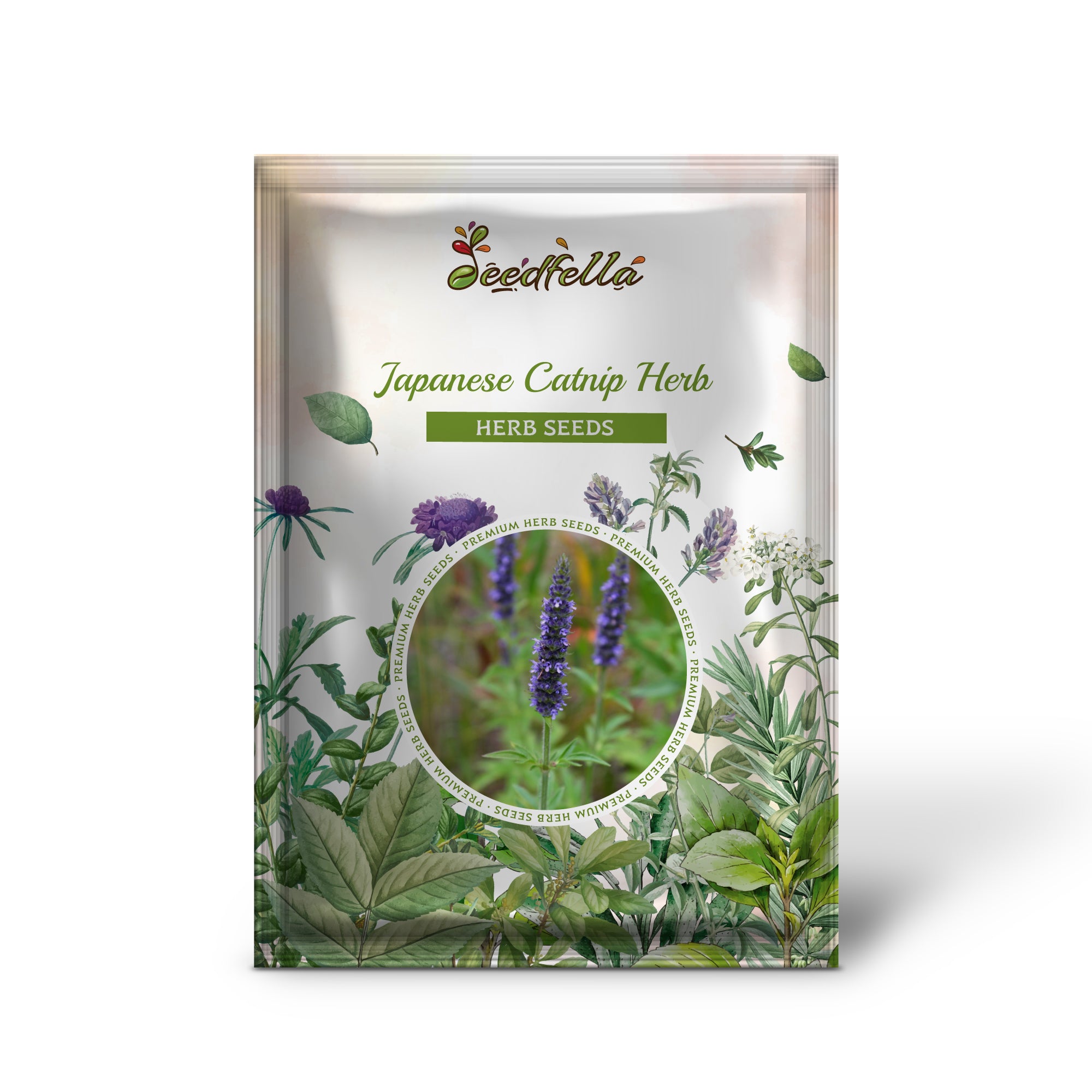 Close-up of Japanese Catnip purple flowers