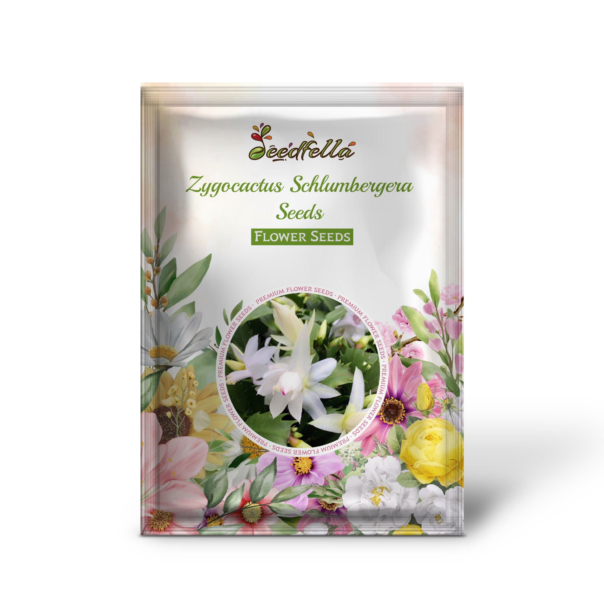 Schlumbergera Cactus Seeds For Planting