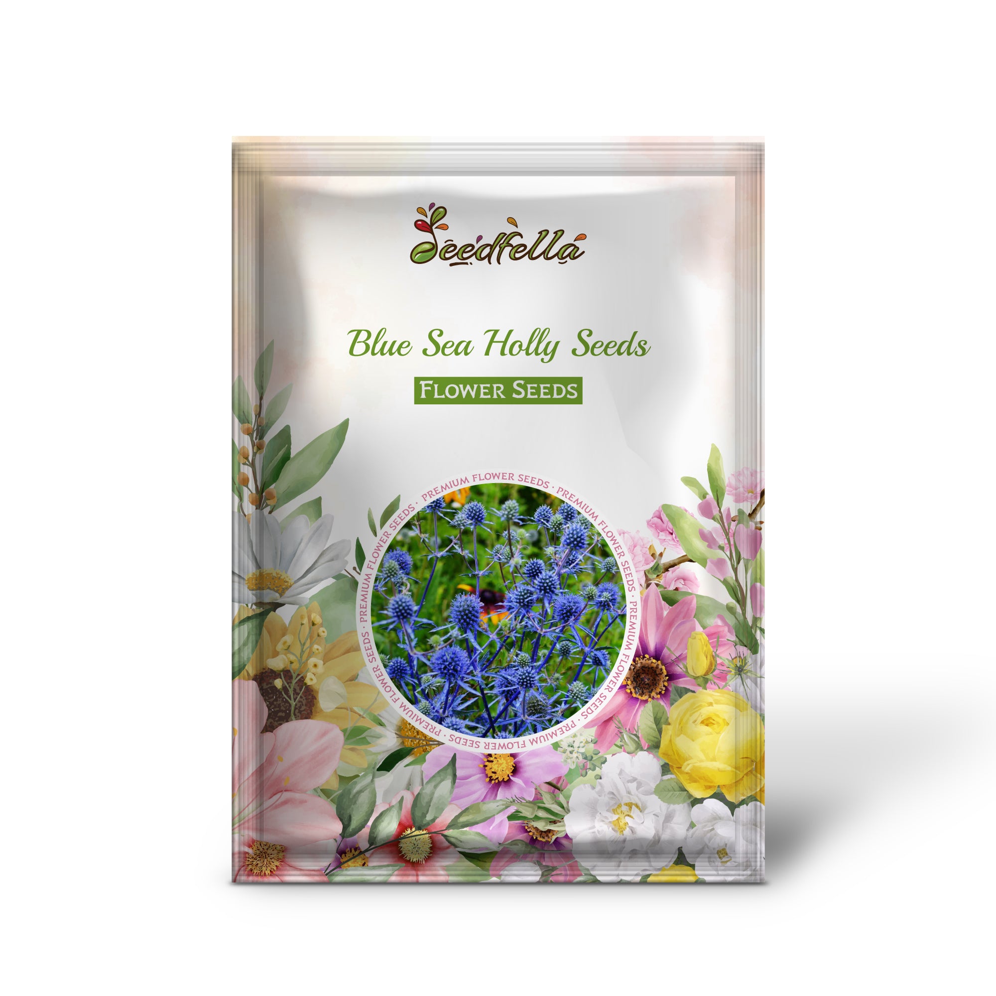 Sea Holly Blue Seeds For Planting