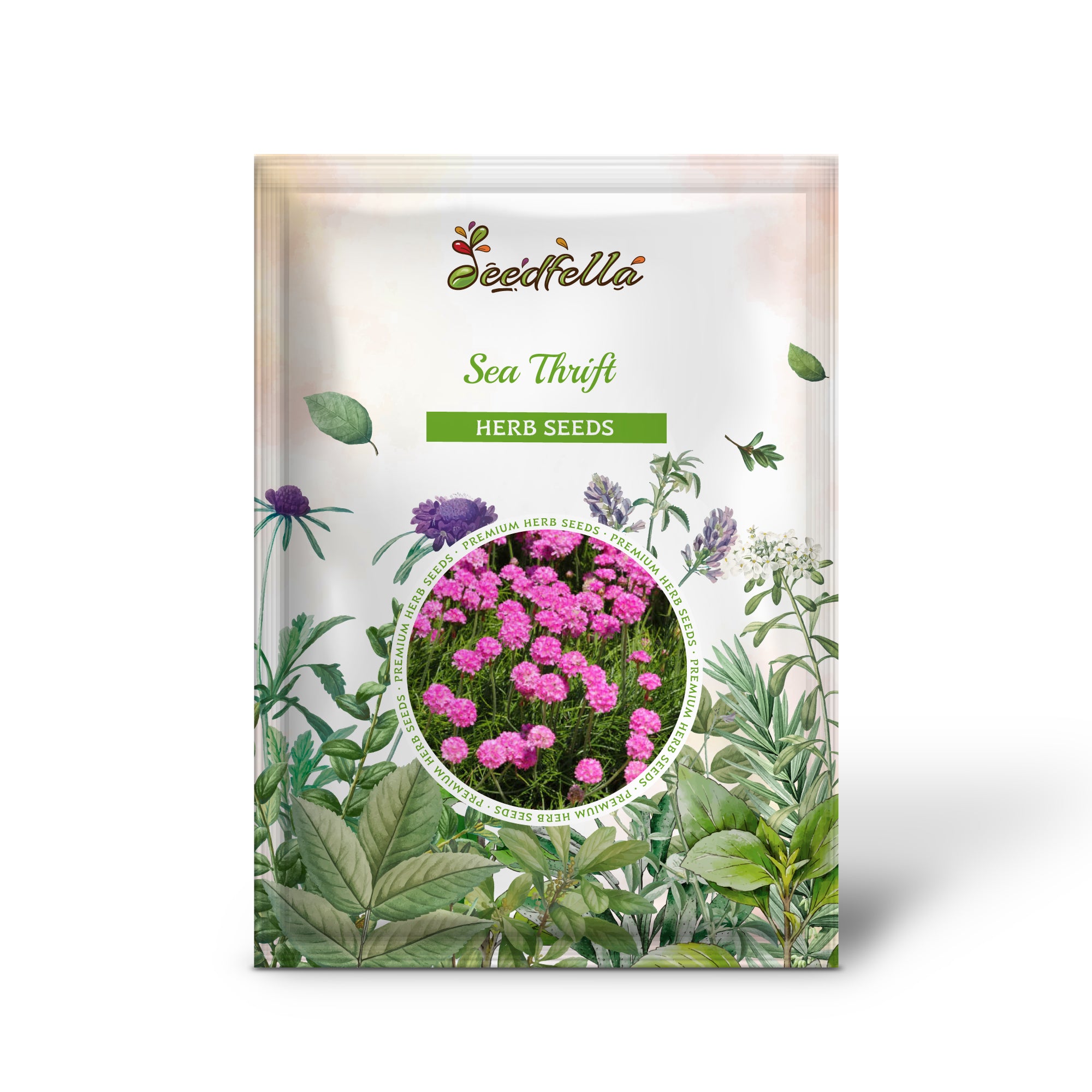 Premium Sea Pink Flower Seed Pack for Coastal Gardens