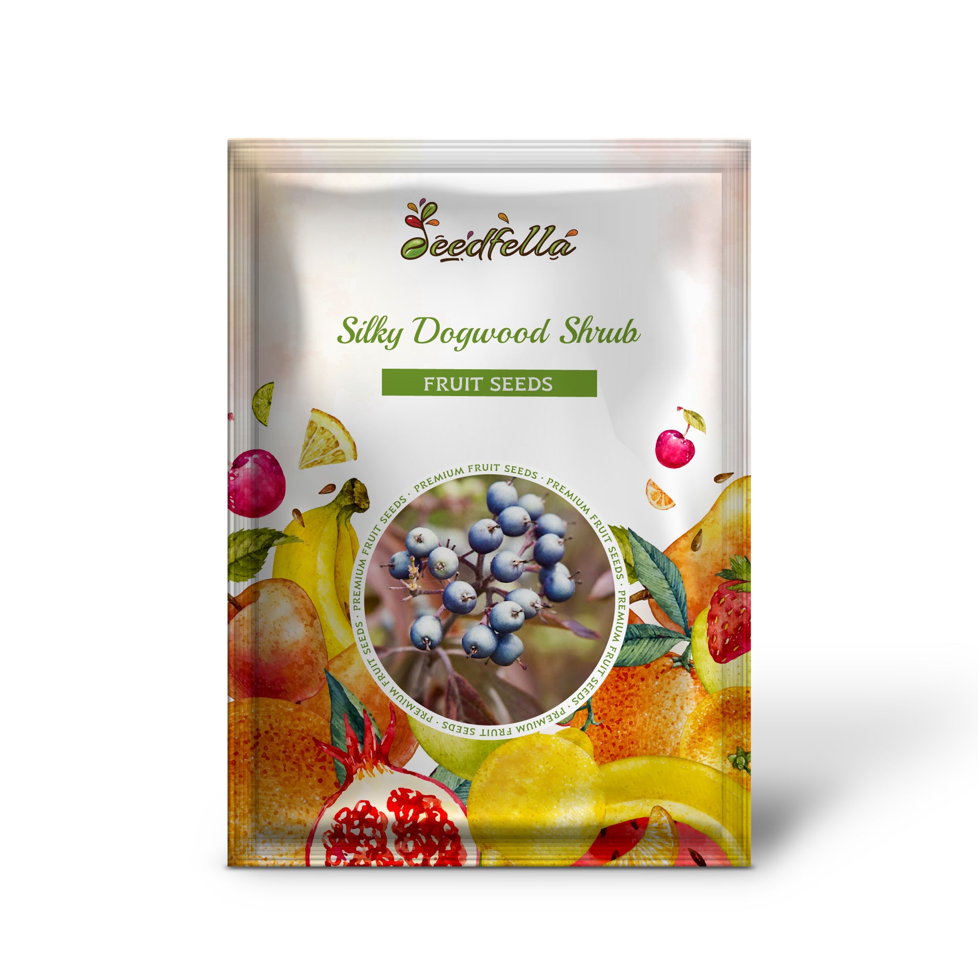 Silky dogwood seeds producing silver-blue berries closeup