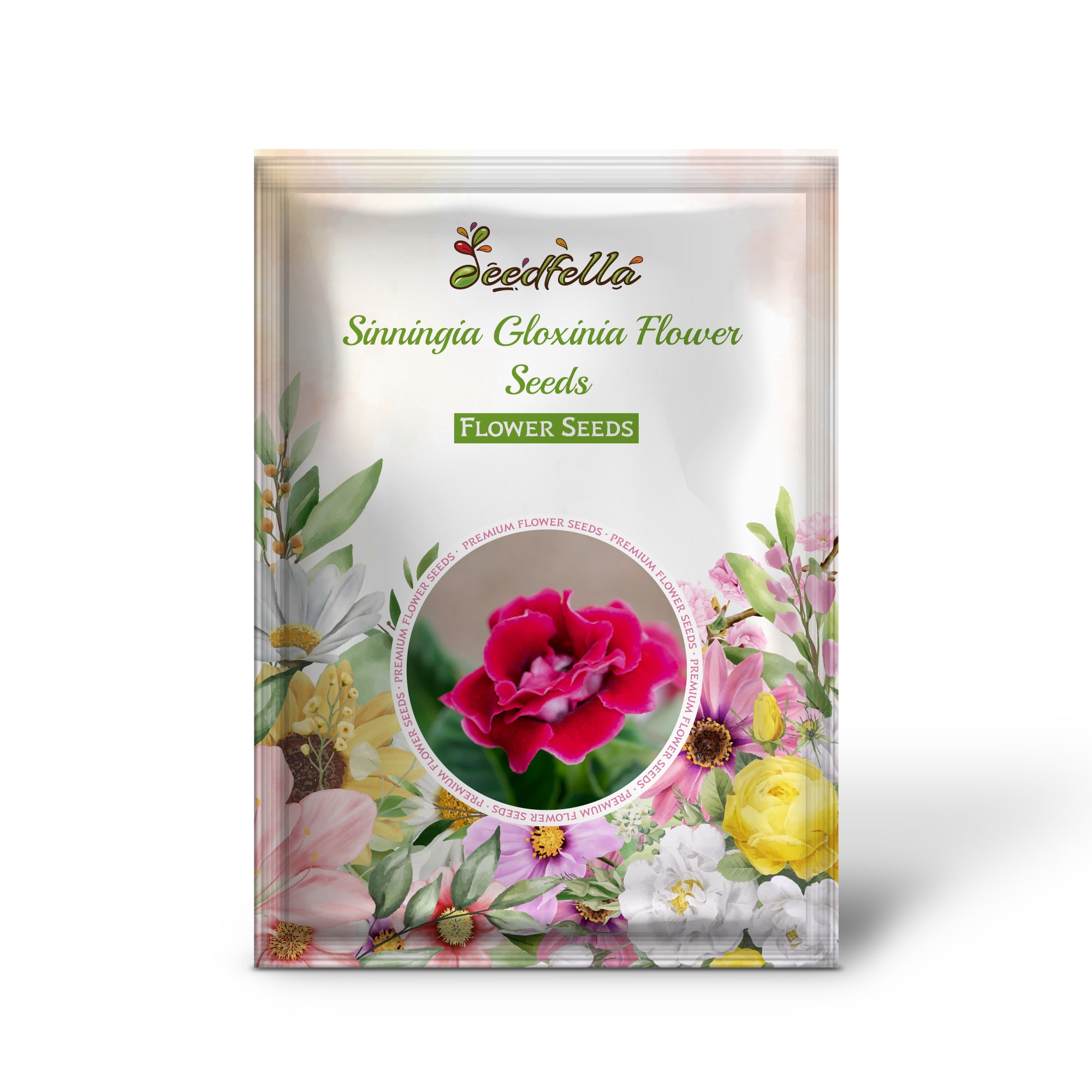 Sinningia Gloxinia seeds for vibrant indoor and outdoor blooms
