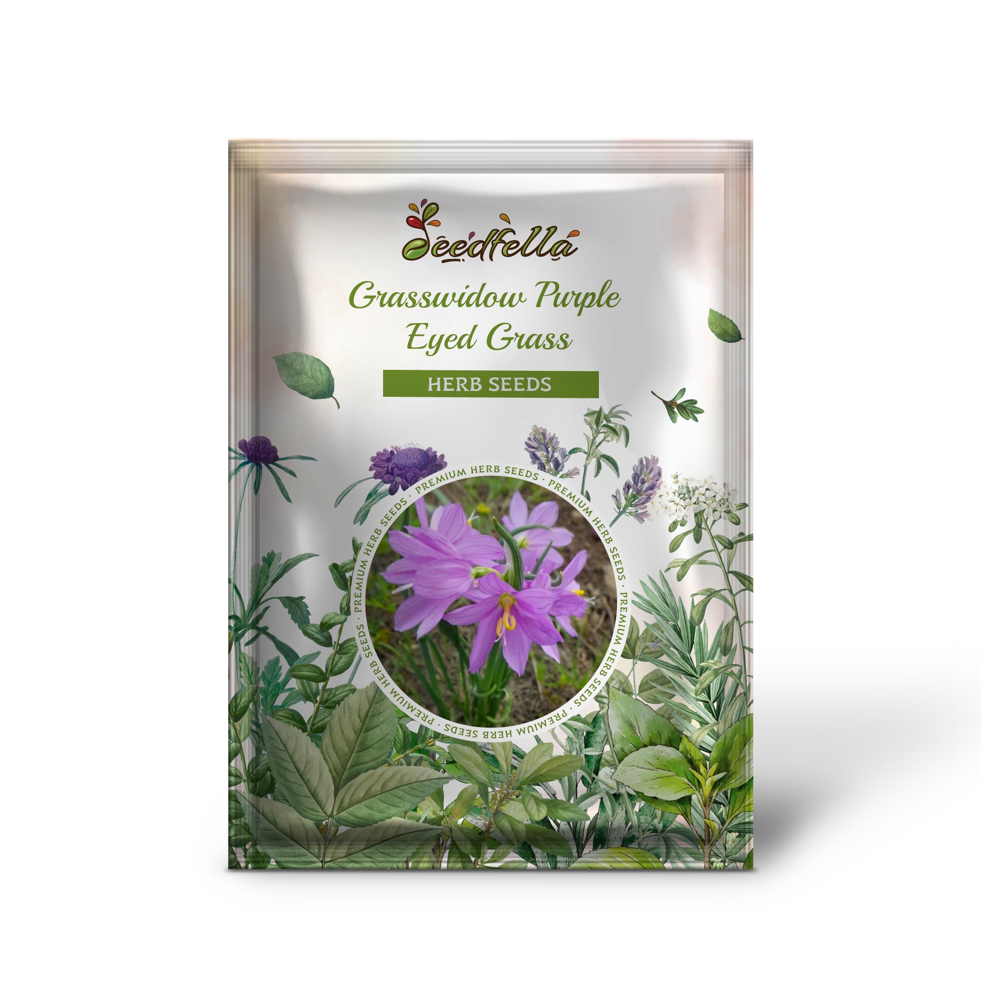 Close-up of Grasswidow Purple-Eyed Grass reddish-purple flowers