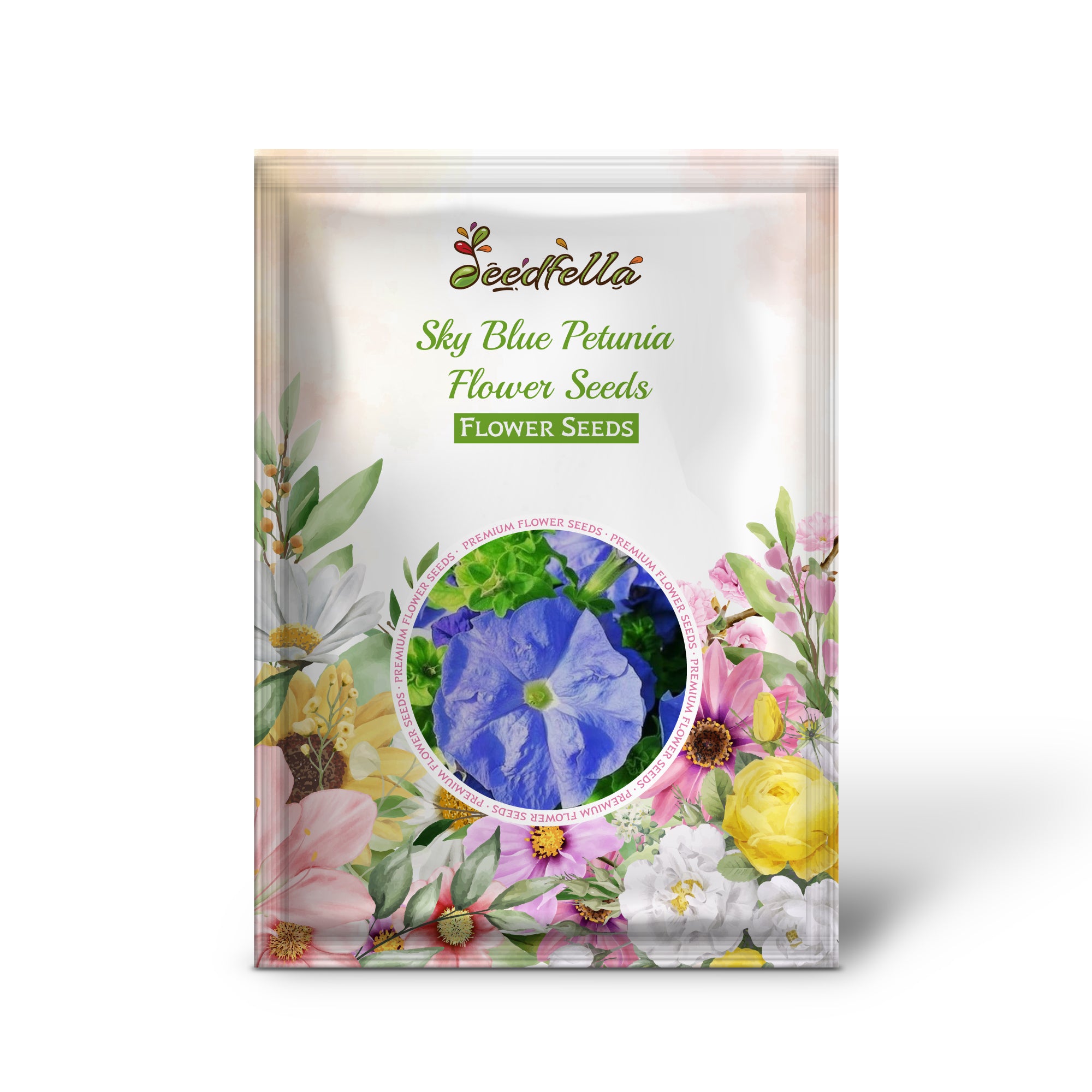 Petunia Planting Guide – How to Grow Sky Blue Petunia Seeds