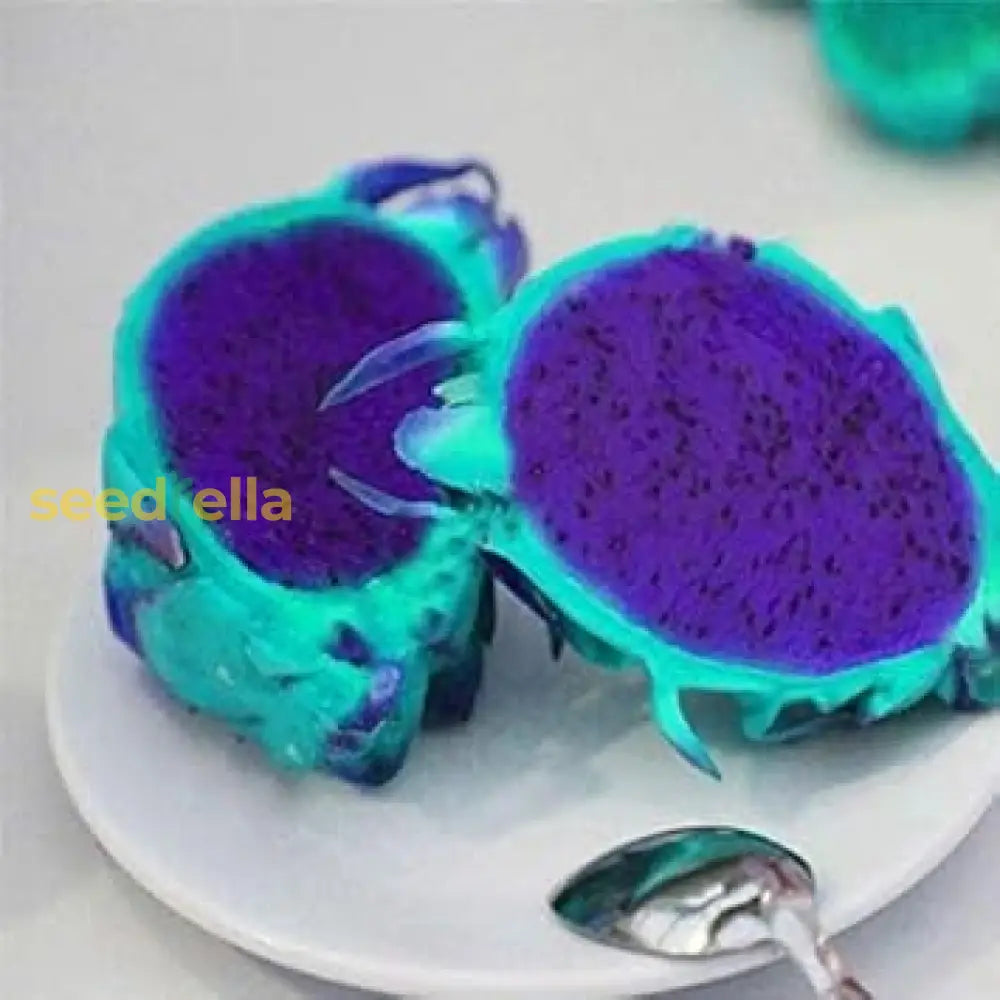 Sky Blue Pitaya Dragon Fruit Seeds for Planting Exotic Tropical Plants