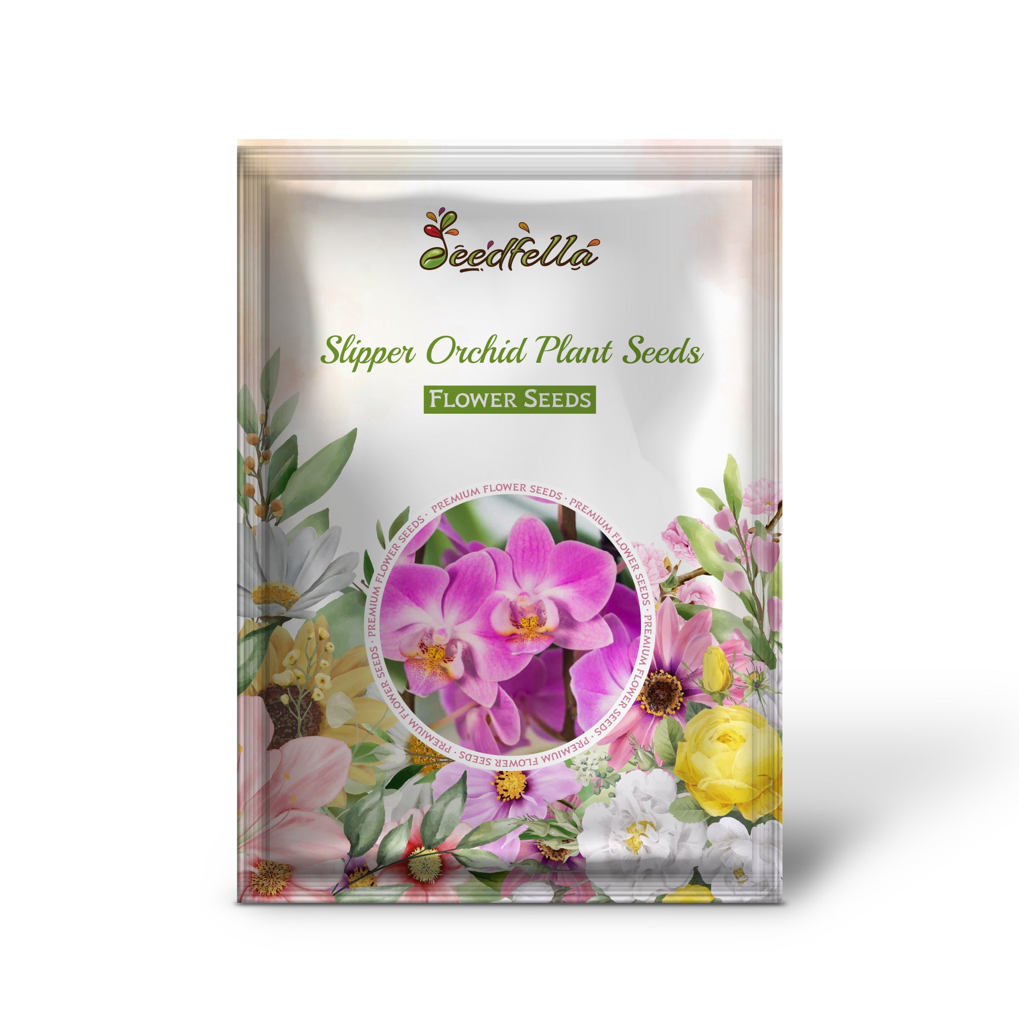 Slipper Orchid Bloom with Unique Pouch Shape