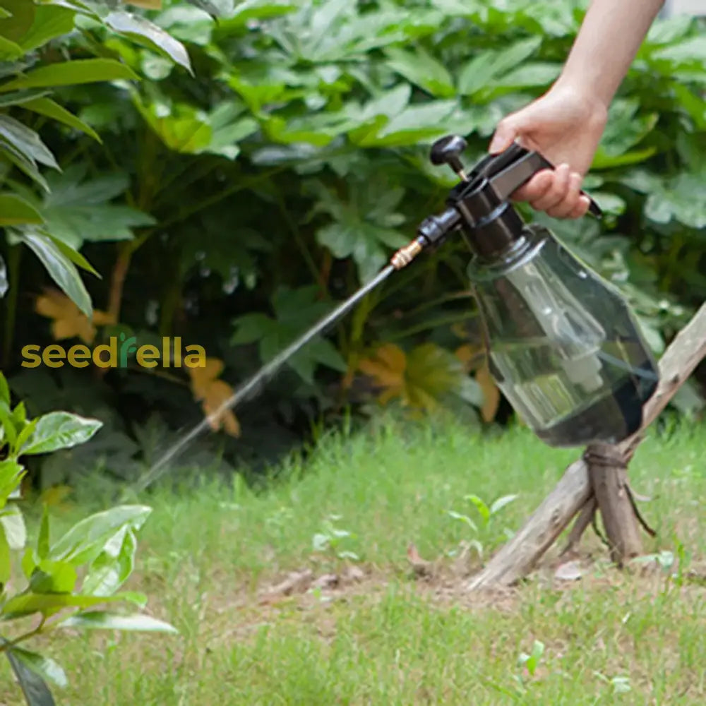 Small Plastic Watering Can With Spray Function For Household And Garden Use Tools