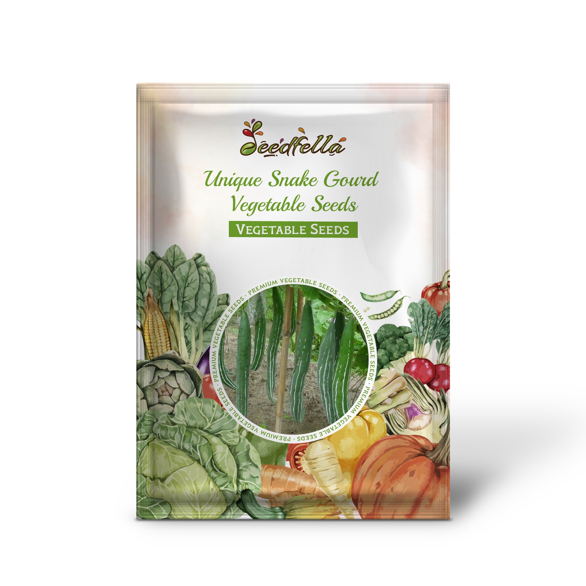 Snake Gourd seedlings emerging in warm garden soil