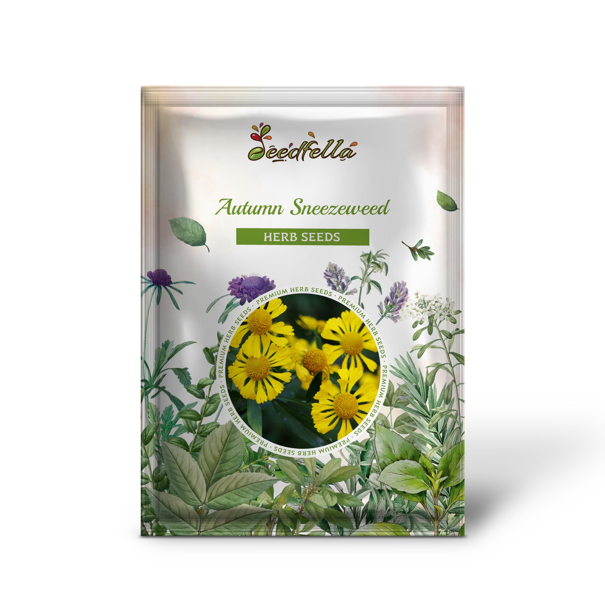 Close-up view of high-quality Autumn Sneezeweed seeds