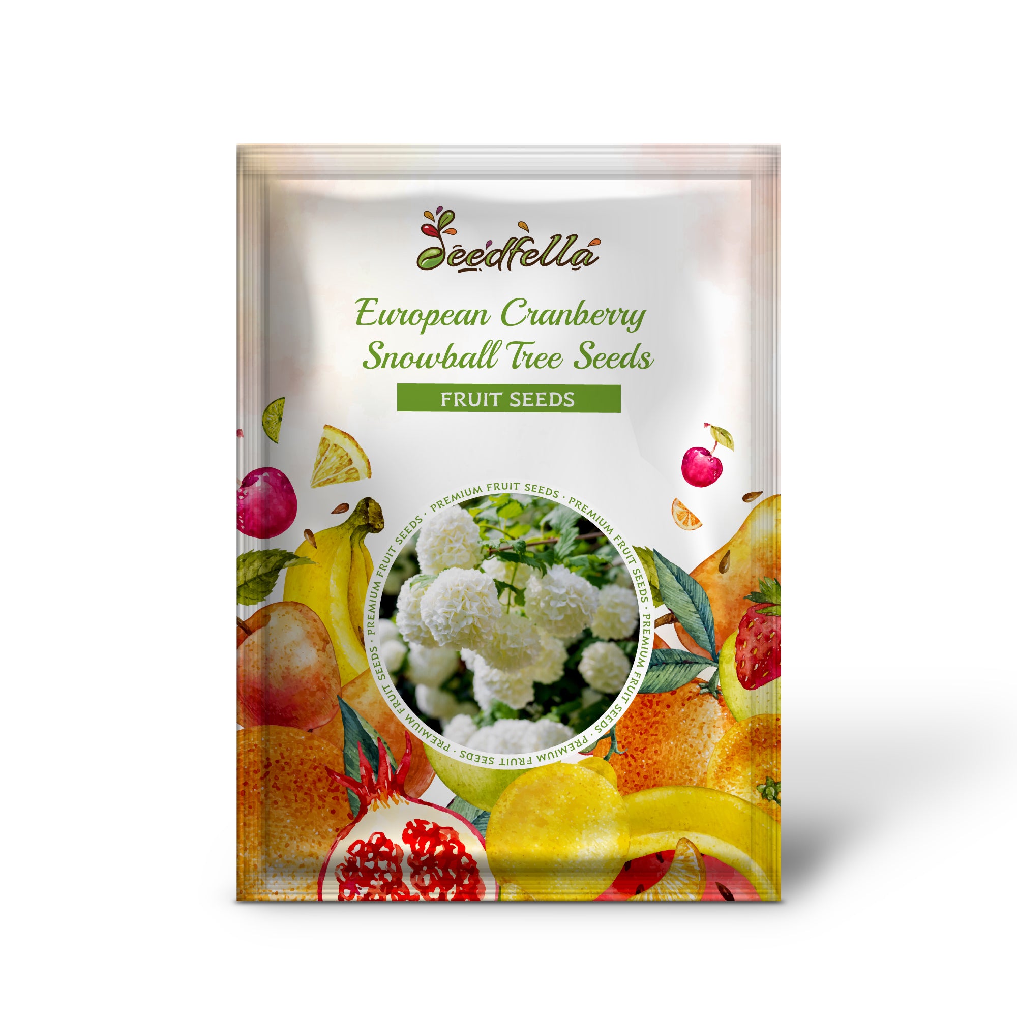 Snowball Tree with clusters of white blooms in spring