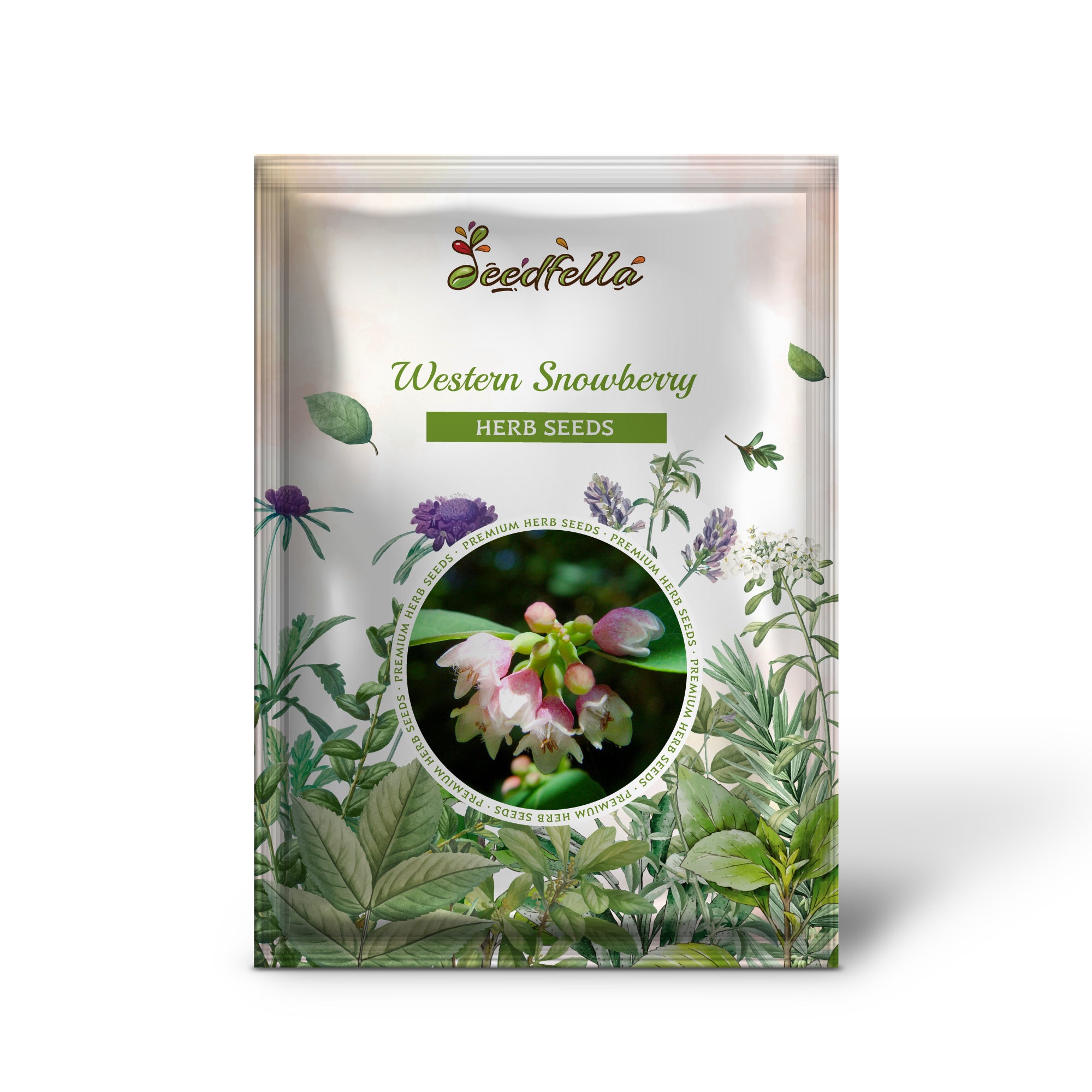 Close-up of non-GMO Western Snowberry shrub seeds