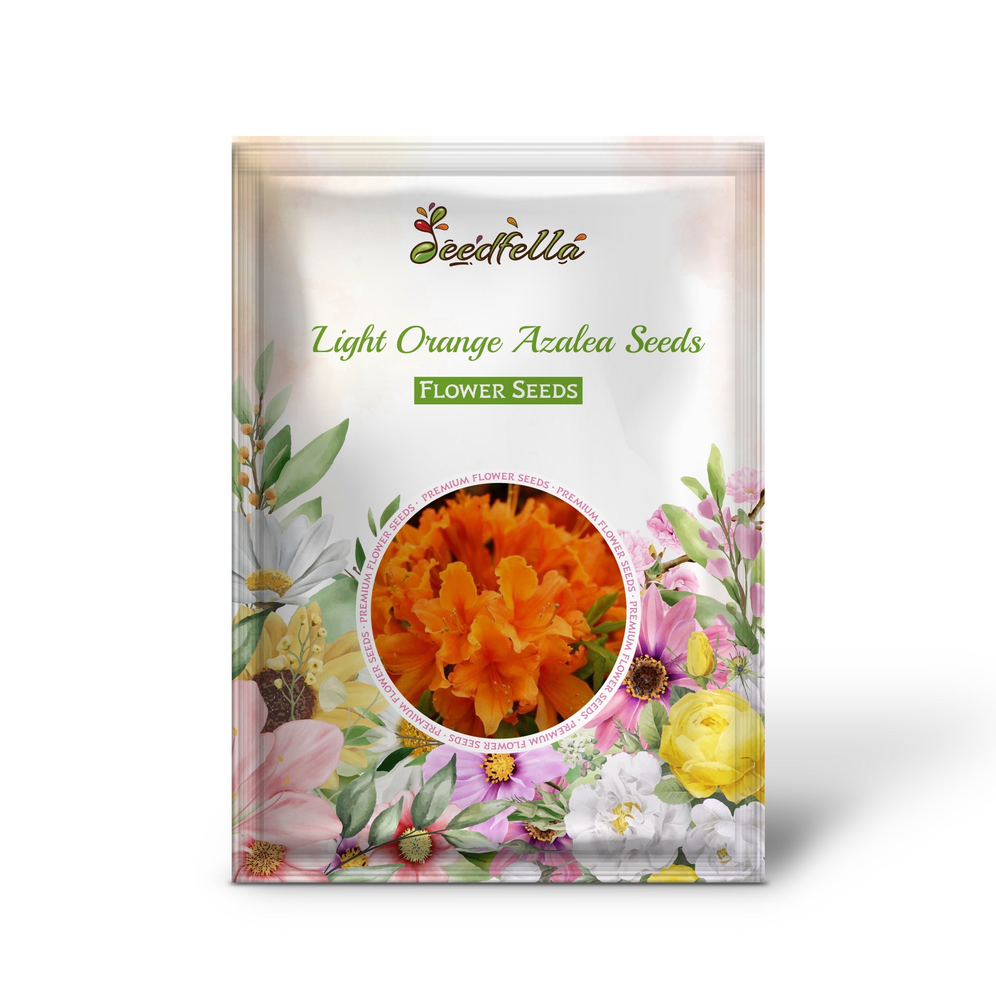 Soft Light Orange Azalea Blooms for Garden Decoration