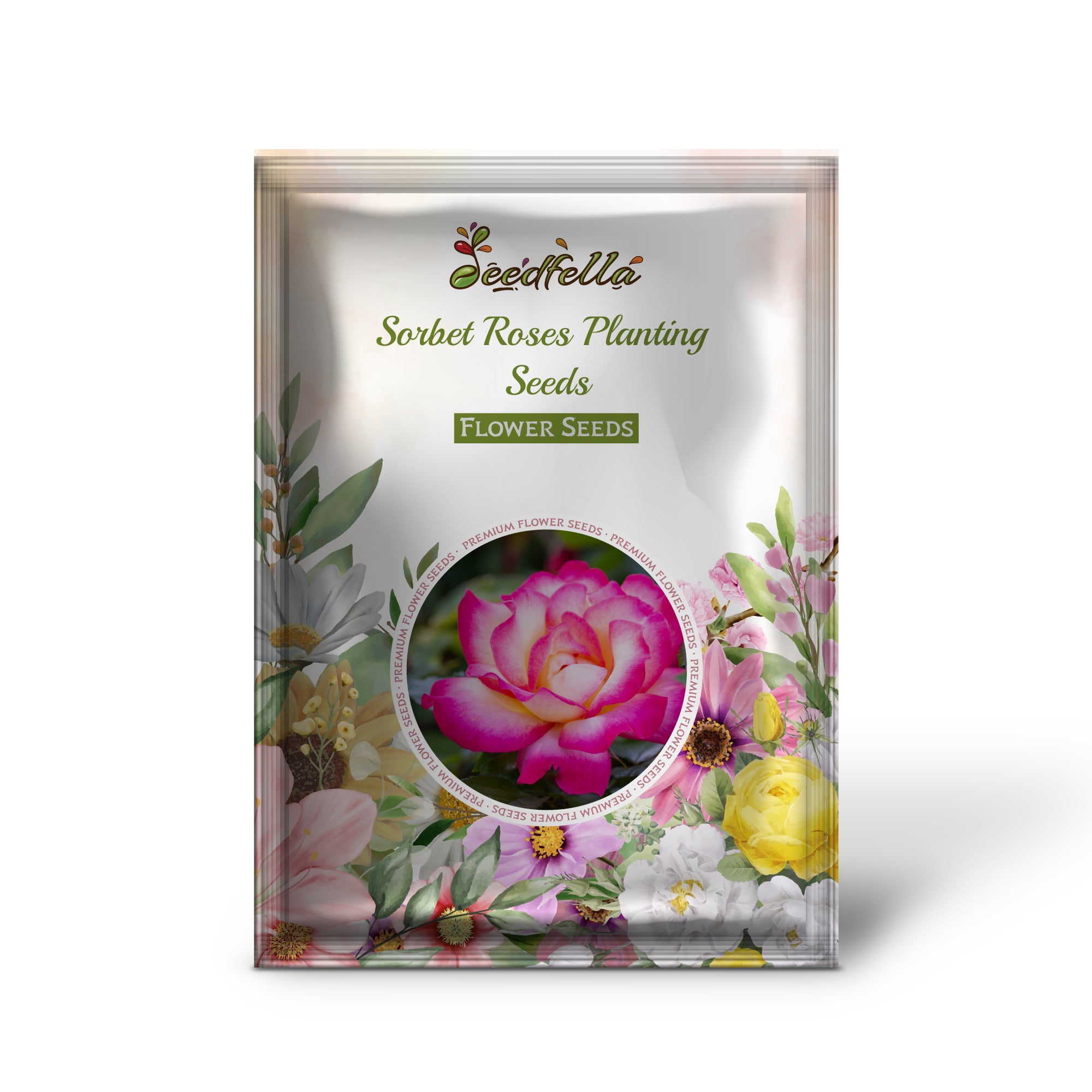 Sorbet Floribunda Rose Blooms in Garden