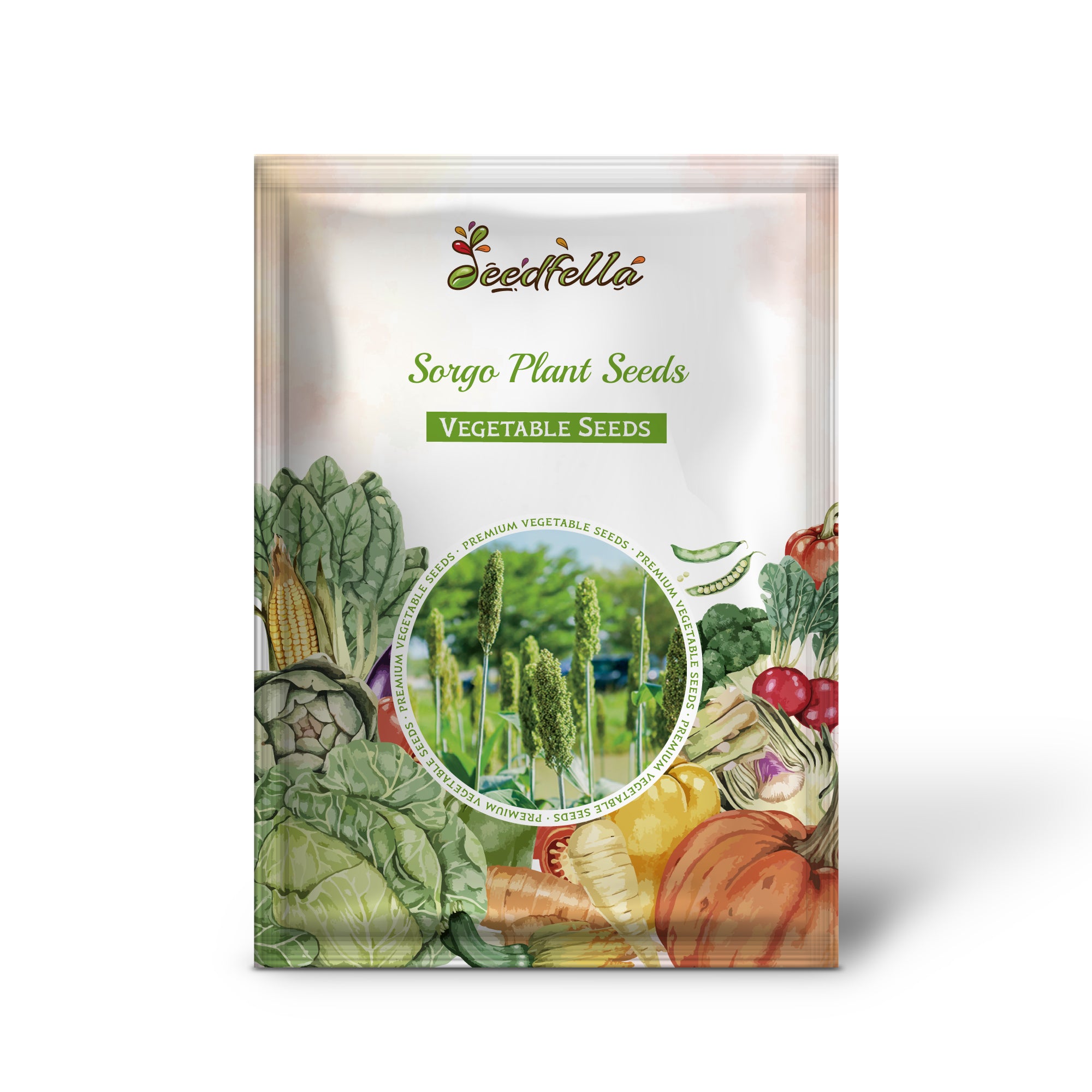 Young Sorgo seedlings growing from high-quality seeds