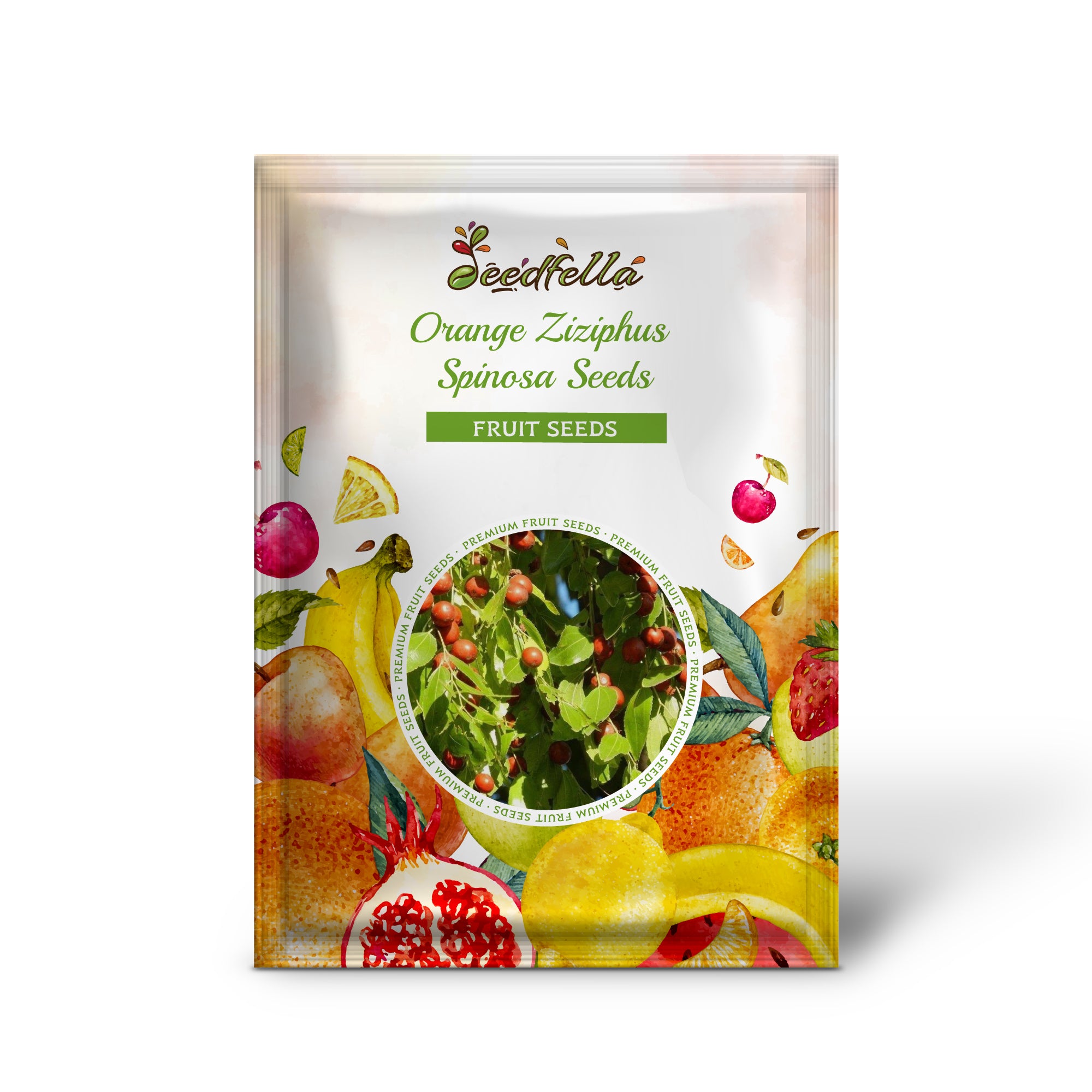 Sour Jujube Seedlings Growing from Seeds