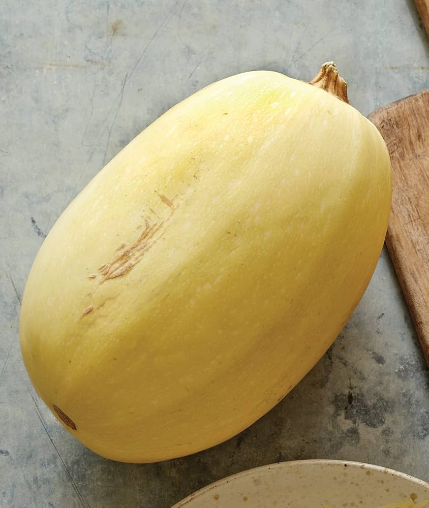 Spaghetti Squash seeds for home garden planting