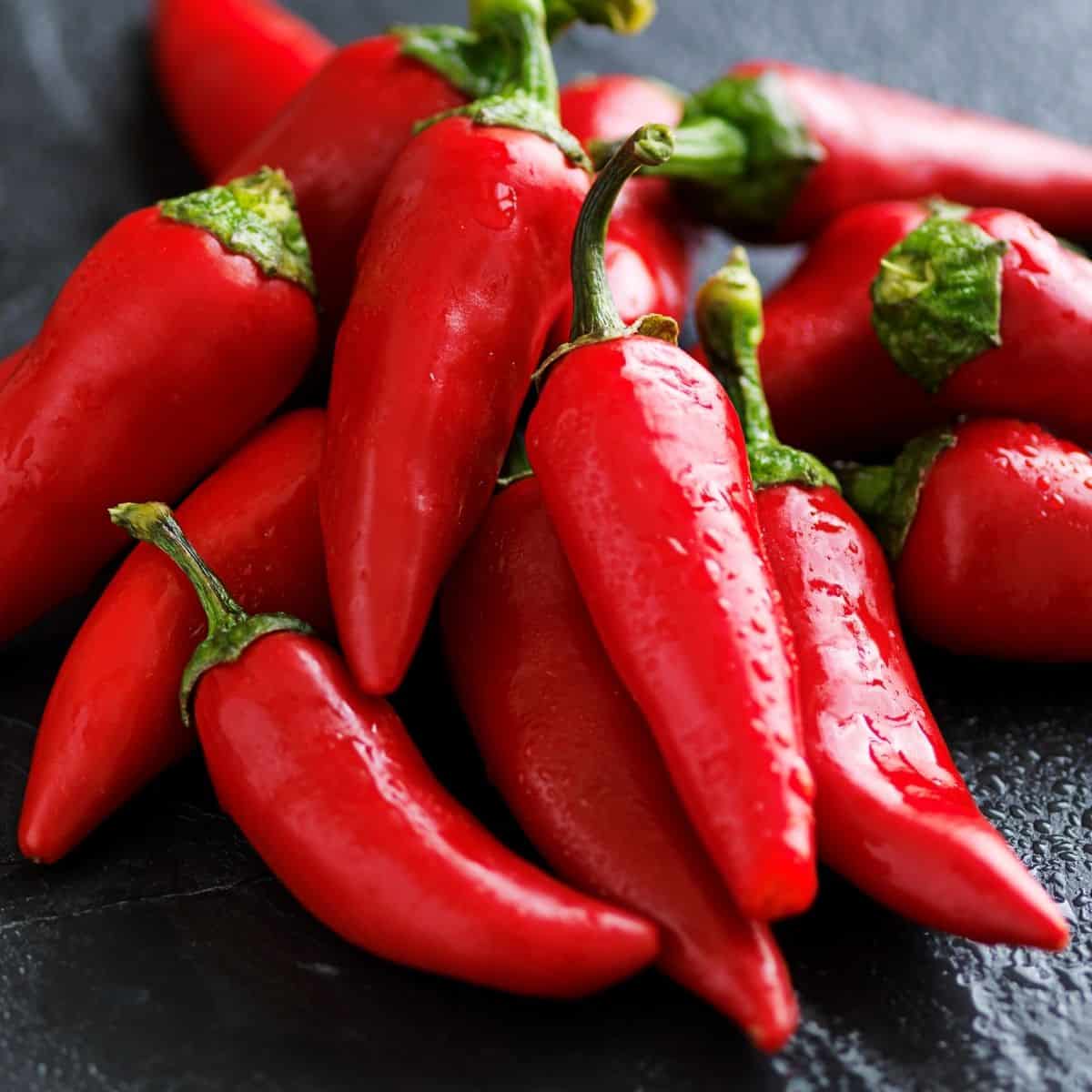 Spicy red pepper plants thriving in a garden bed