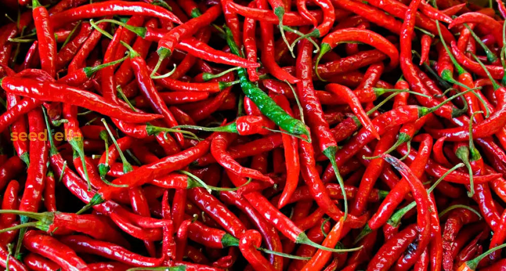 Spicy Red Pepper Seeds For Garden Planting Vegetable Seeds