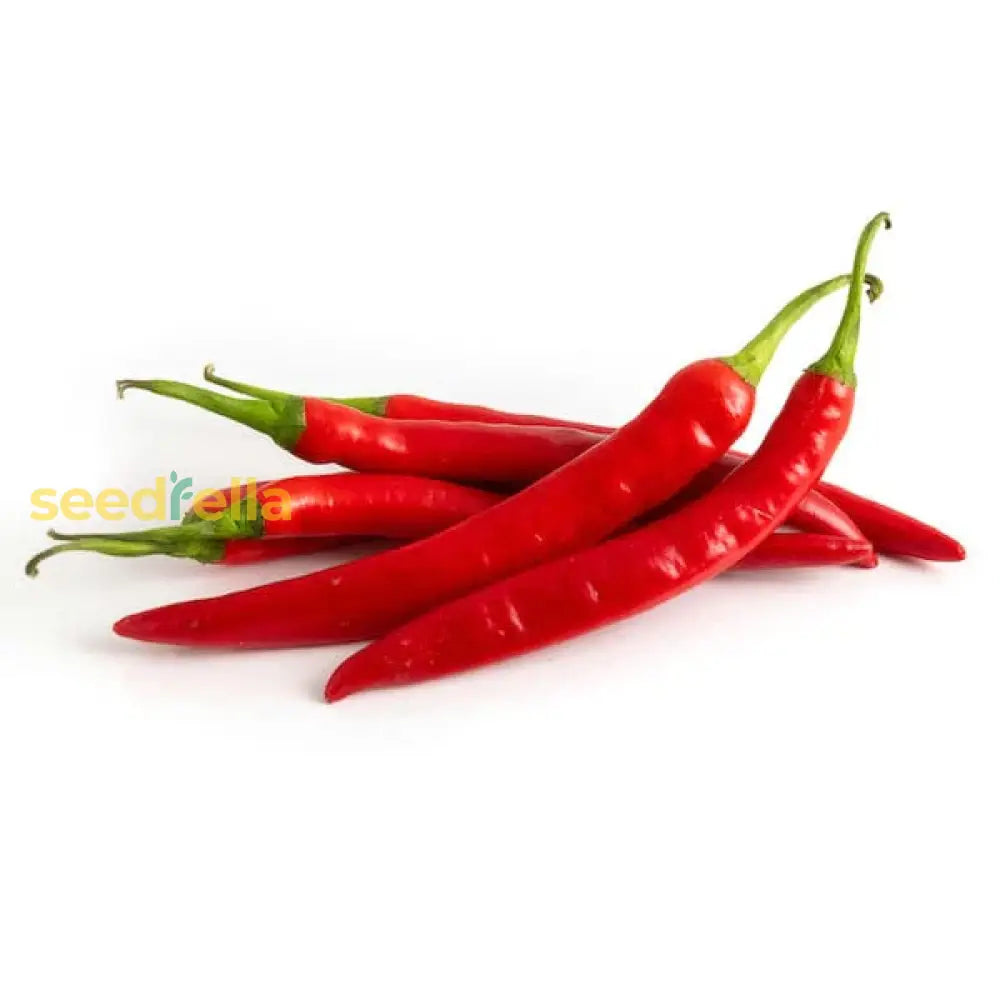 Spicy Red Pepper Seeds For Garden Planting Vegetable Seeds