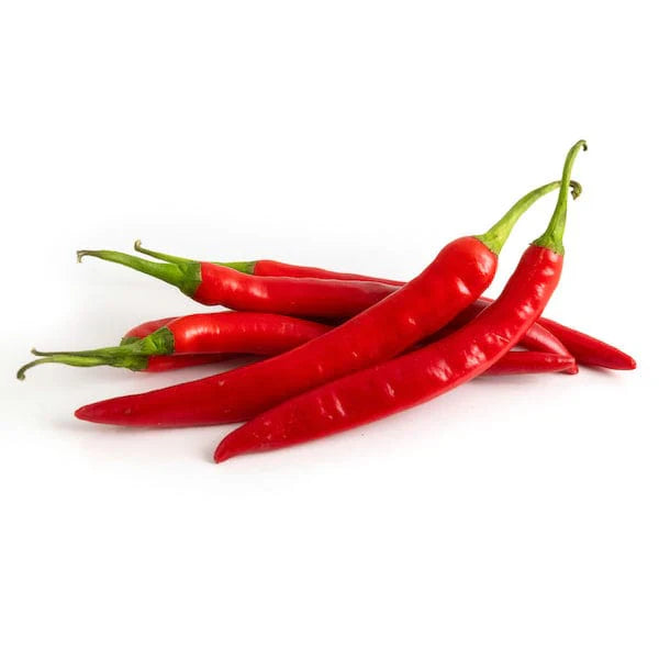 Non-GMO spicy red pepper seeds for planting