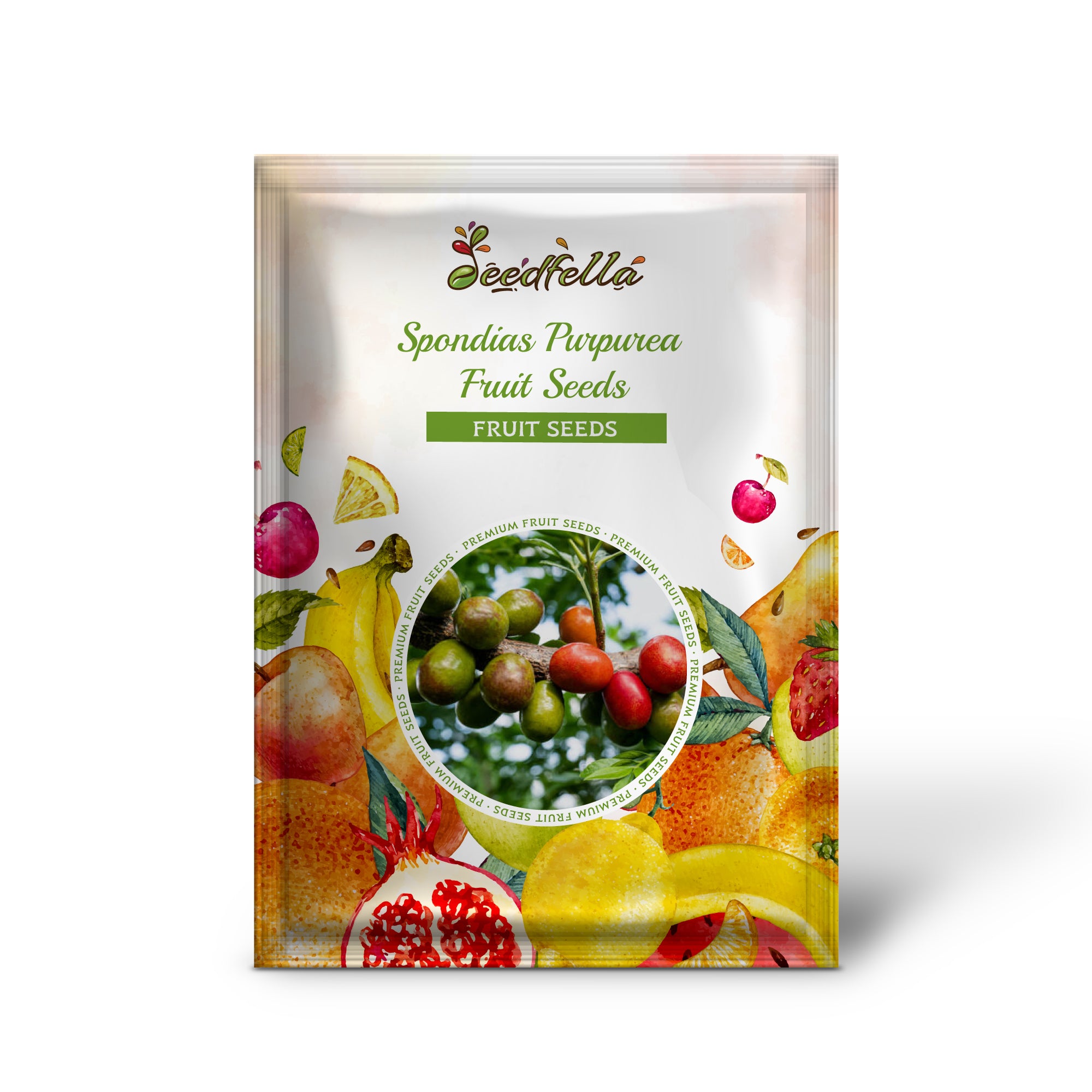 Harvested Spondias Purpurea Fruits, Tangy Purple Fruits Ready for Eating