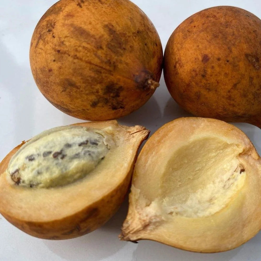 Whole star apple fruit showing round shape