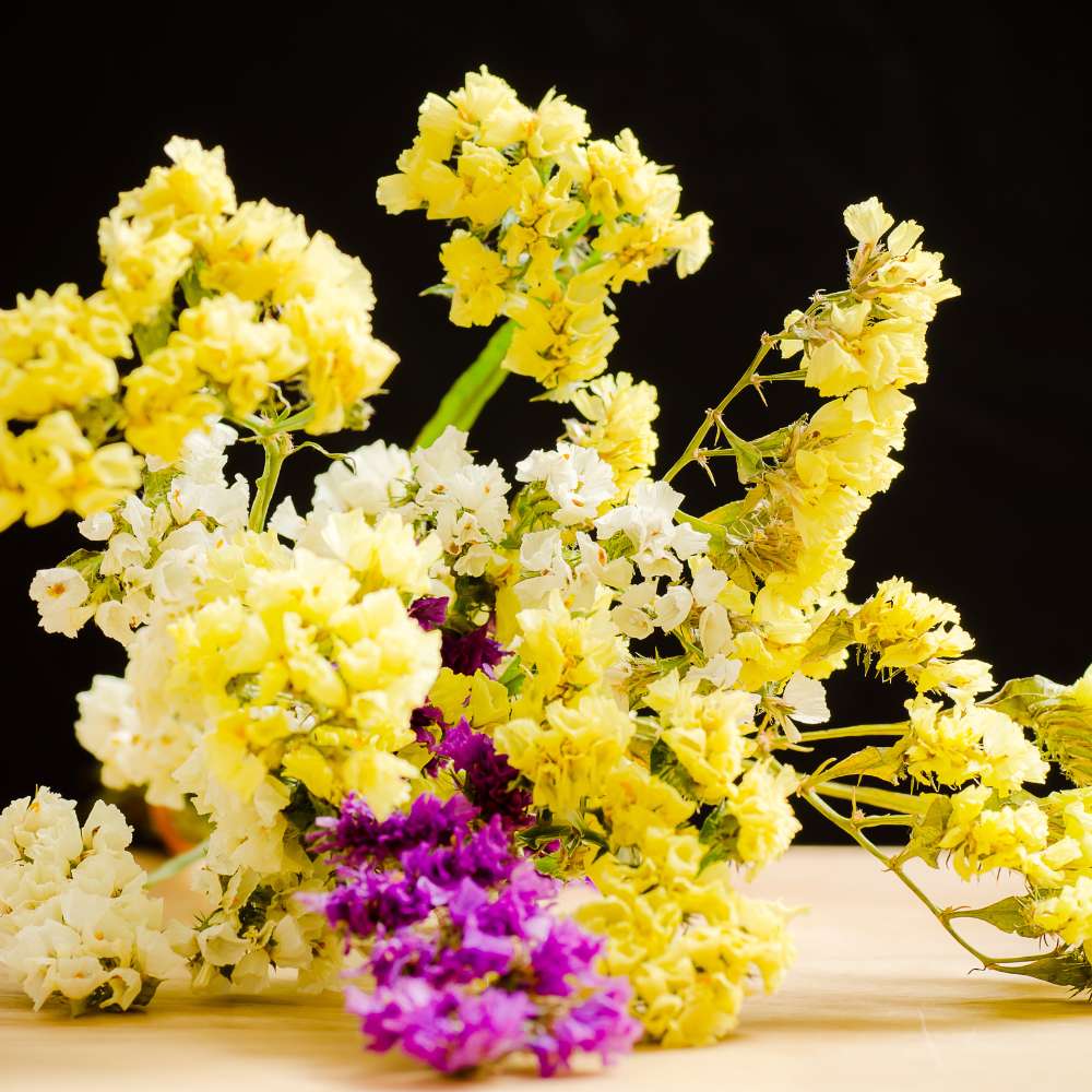 Close-Up of Yellow Statice Petals