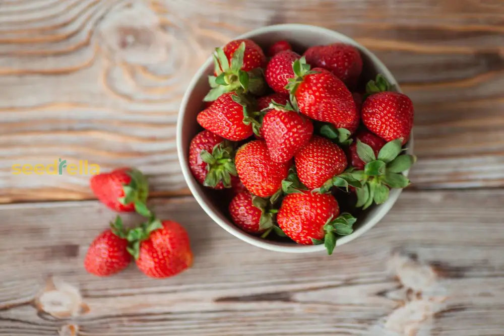 Strawberry Seeds For Easy Planting